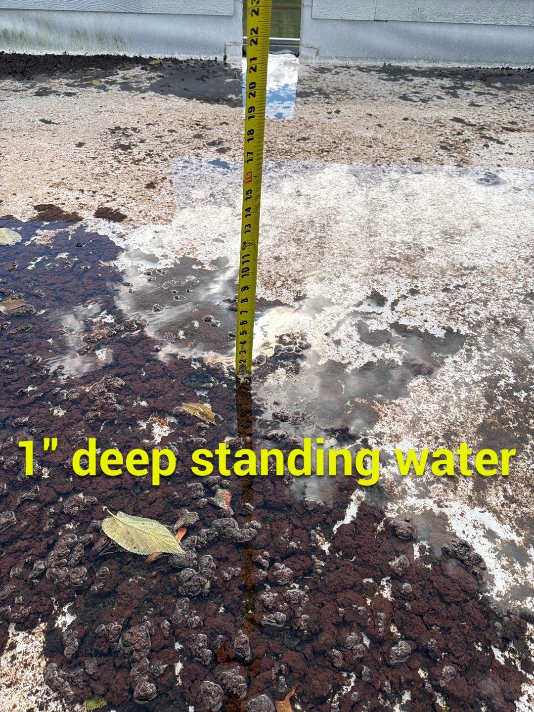 2610 Broadway St • Indianapolis, IN 46205 by 317 Roofing & Restorations