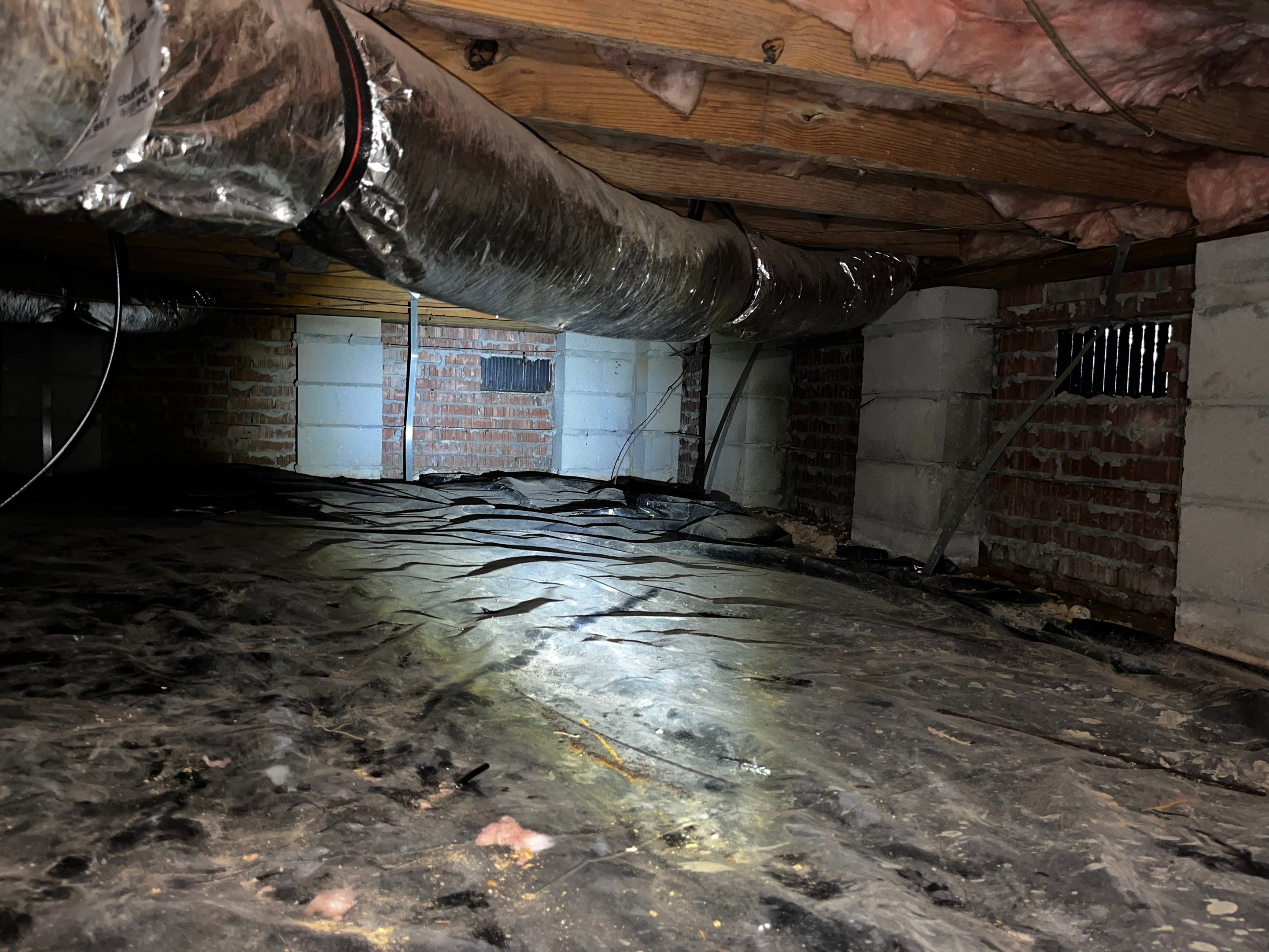 Impact Choice Encapsulation with Mold Removal. by Impact Crawlspace