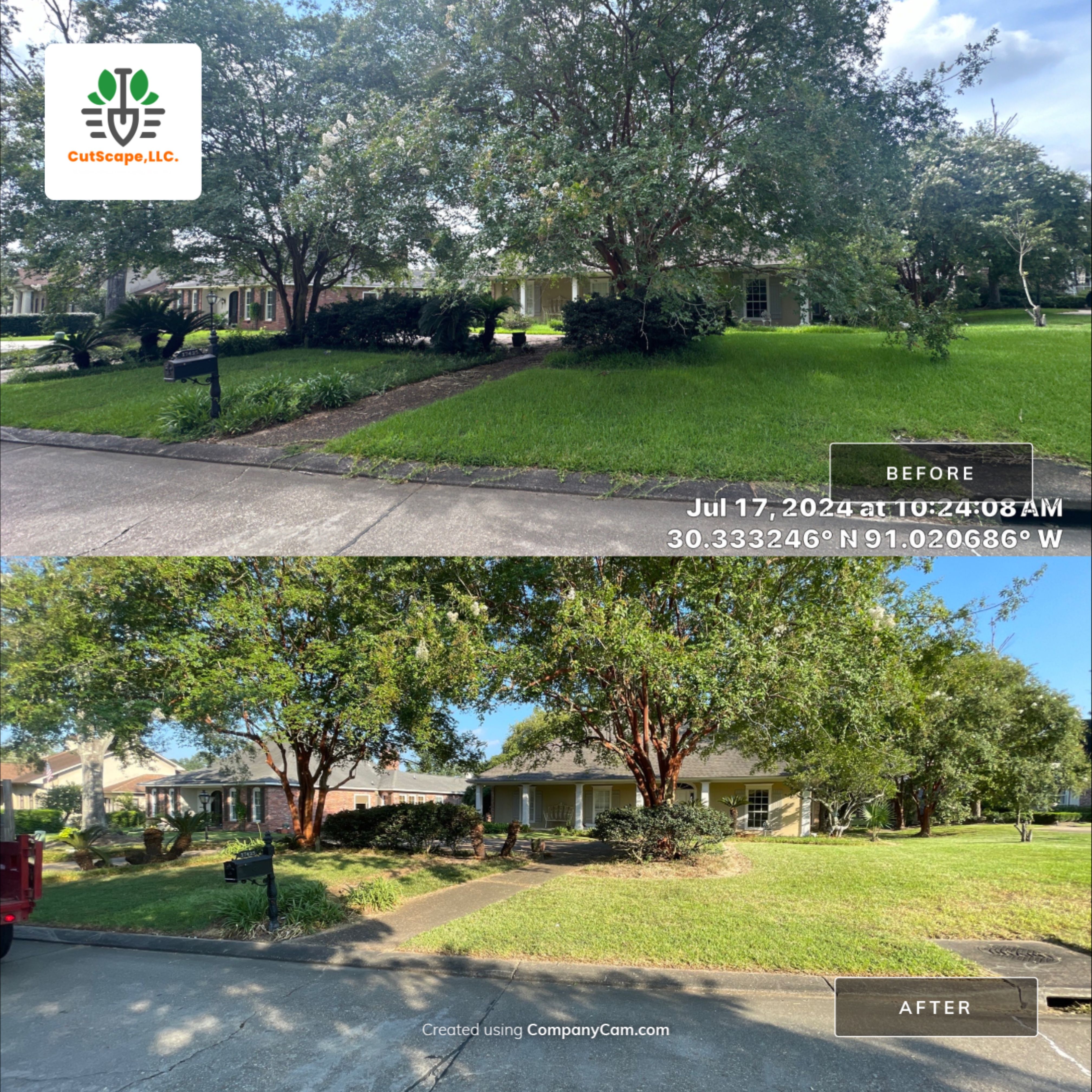 HERBICIDE / CLEAN OUT / TRIM / BRUSH DEBRIS REMOVAL by CutScape, LLC.