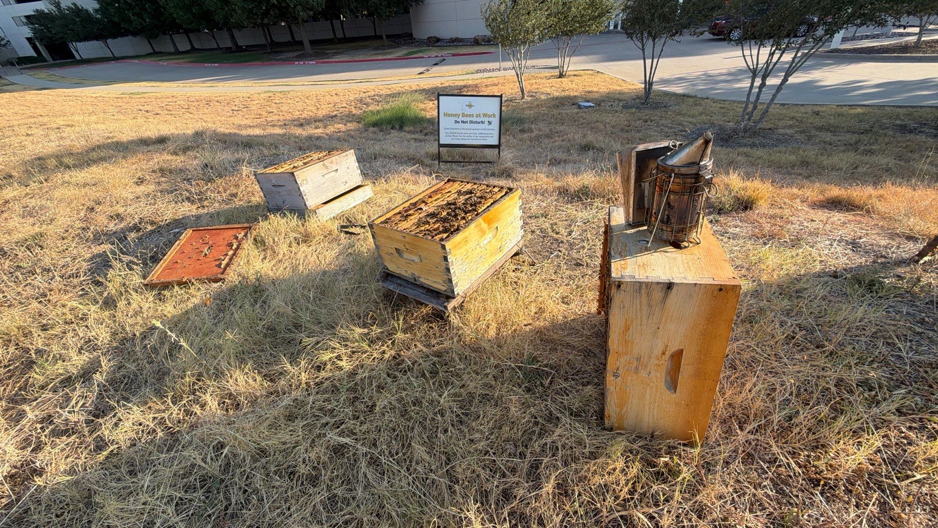 Frisco Financial HQ by Rockwall Honey Bee Company