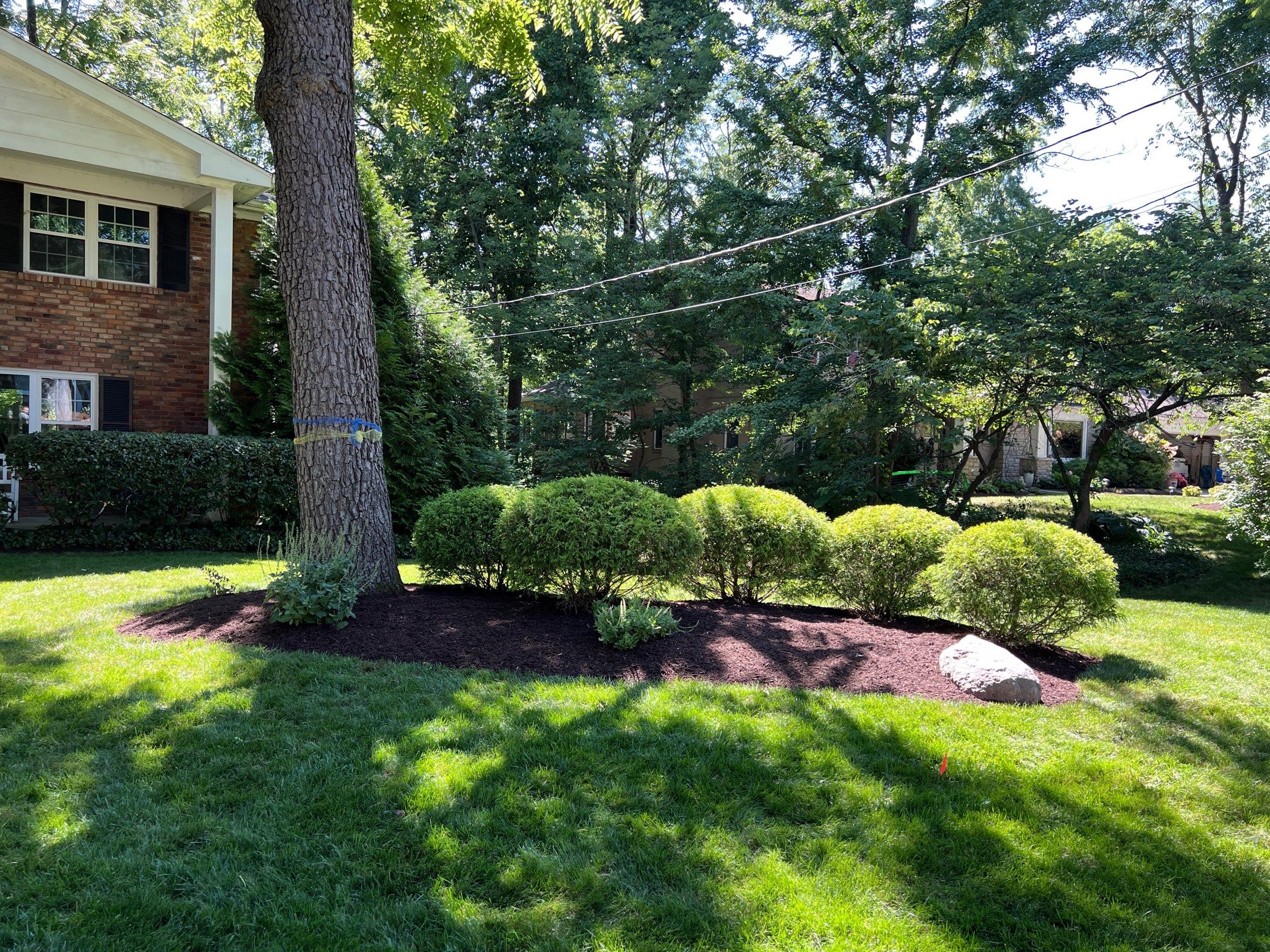 Spring Clean Up, Edge, Prune & Mulch by Reisenberg’s Lawn & Landscape, LLC
