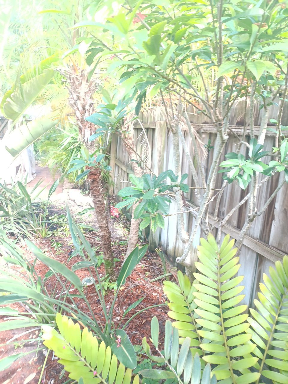 Bradenton, FL 6ft. White Vinyl Privacy Fence by Asap fence and gates, LLC