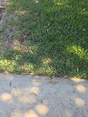 Project in Katy