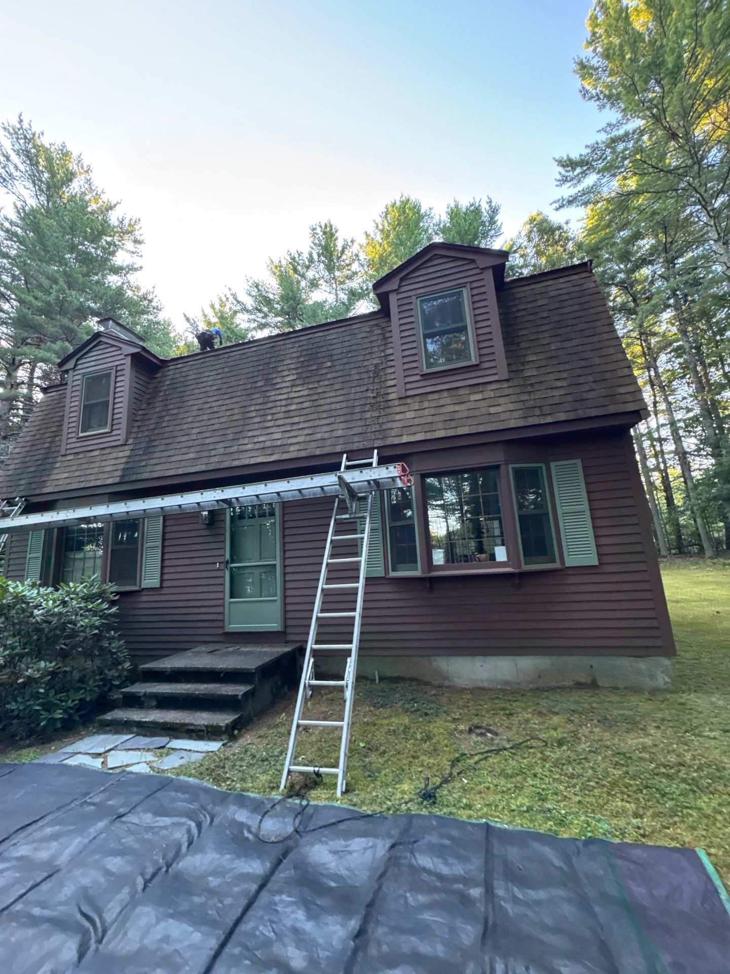 Roof Replacement – Rosalie Brown, MA by Mighty Dog Roofing of Greater Middlesex County