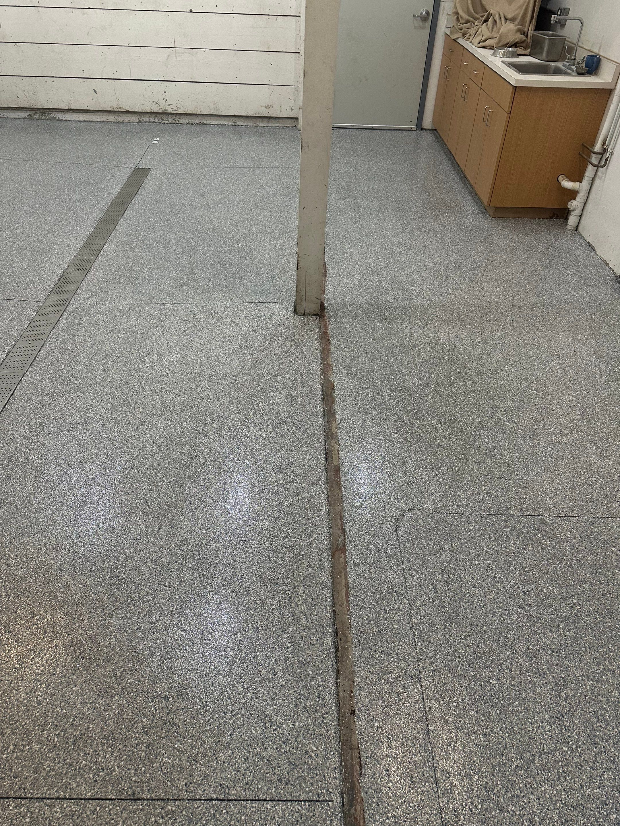 Durable Commercial Concrete Coatings for Brandon Valley Veterinary Clinic by Select Painting, Coatings & Garage Cabinets