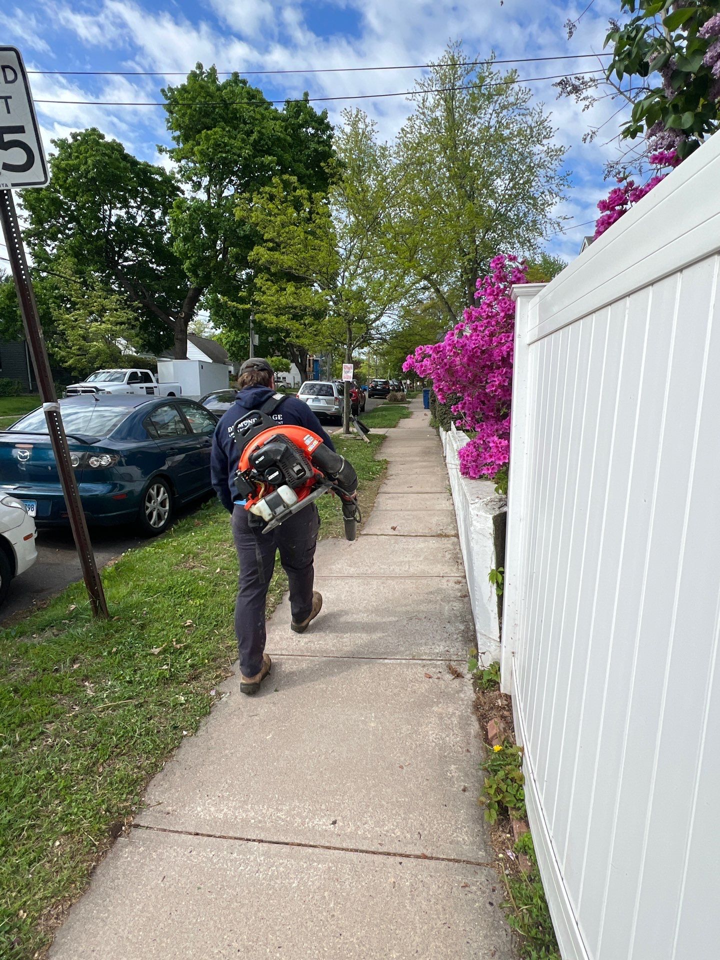 Comprehensive Lawn Care and Hedge Trimming in New Haven by Diamond Image LLC