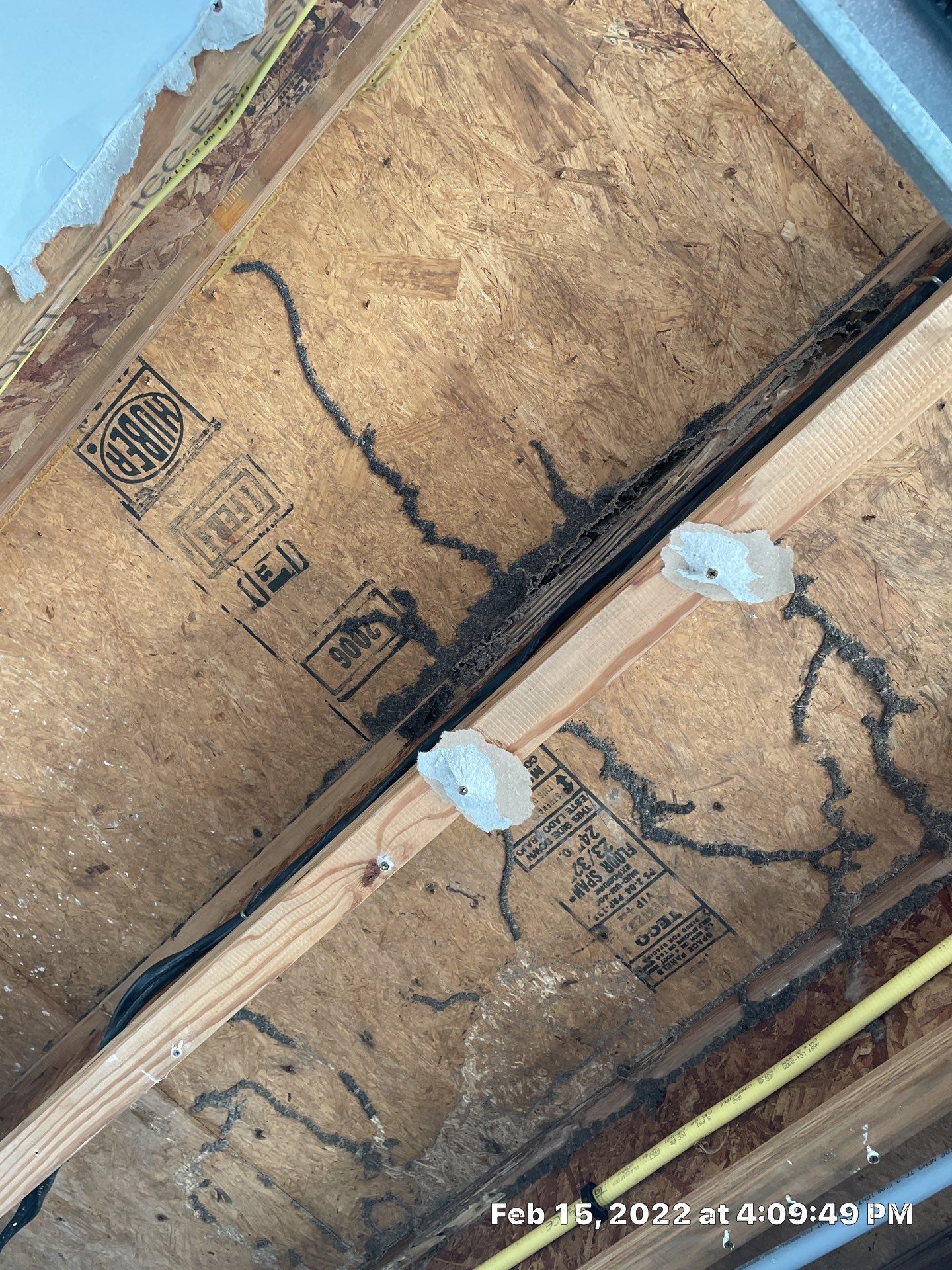 Luxury Home - Owners find termites and need interior selective demo, prior to repairs. by EAS Environmental, LLC.