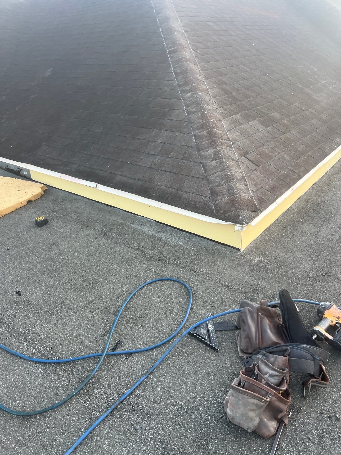It Ain't Easy getting Shady  by Bayfront Roofing and Construction