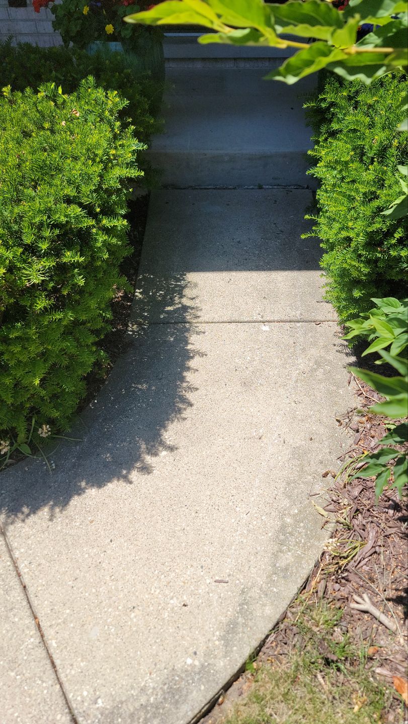 concrete power washing Algaecide, soft wash soap by Northern Power Washing LLC.