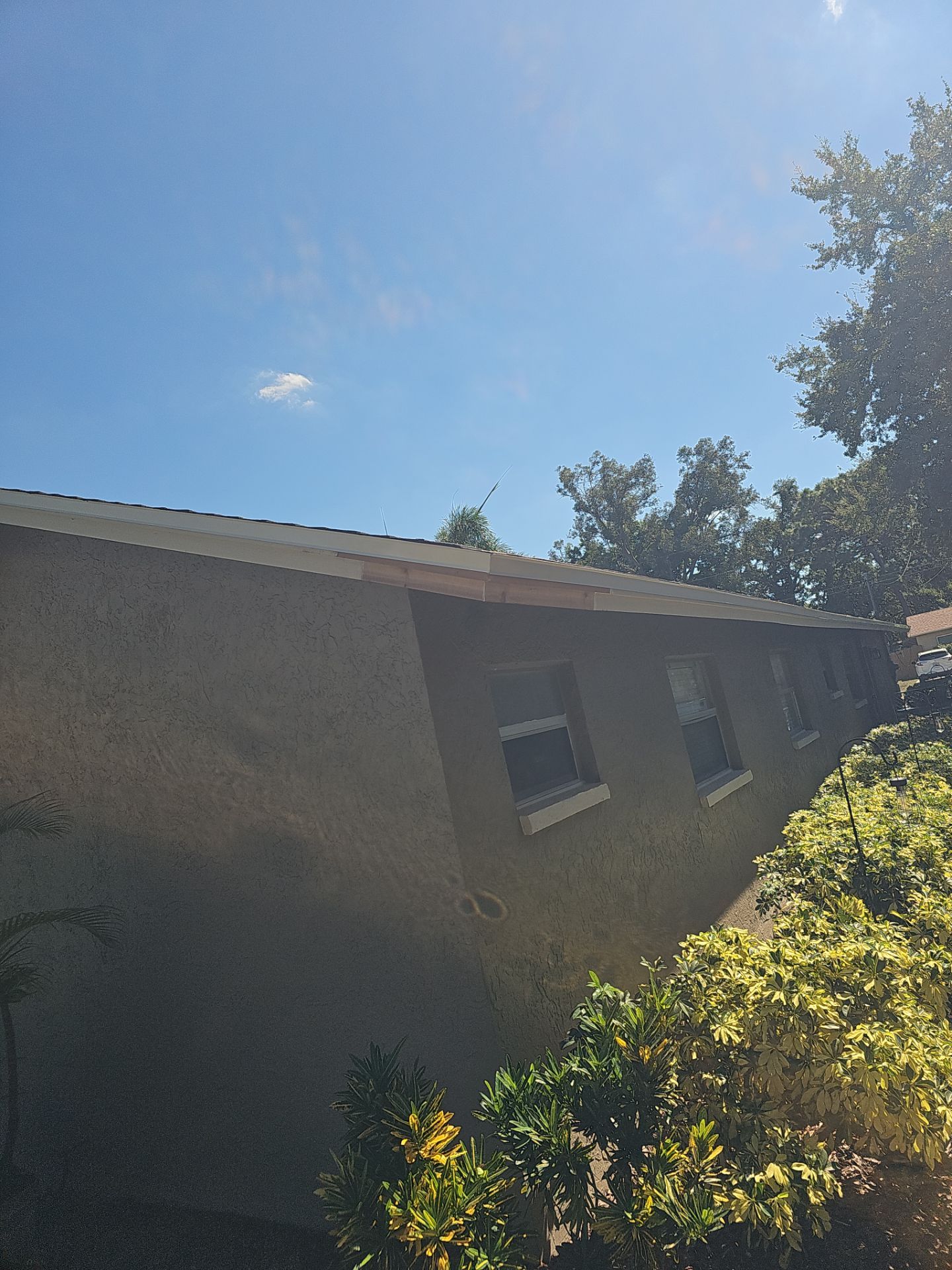 Project in Pinellas Park 33781 by Mitchell Roofing Company LLC