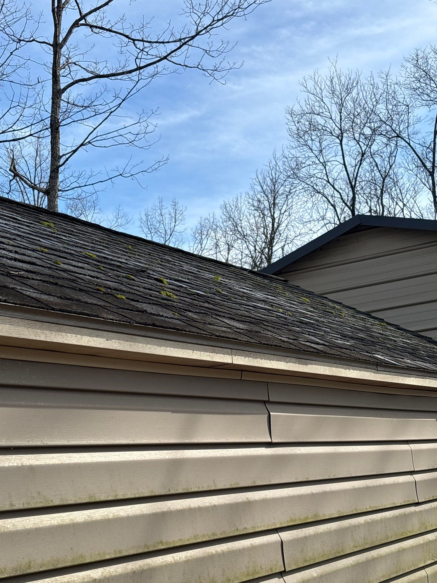 Project in Richmond by Roof Maxx of Midlothian