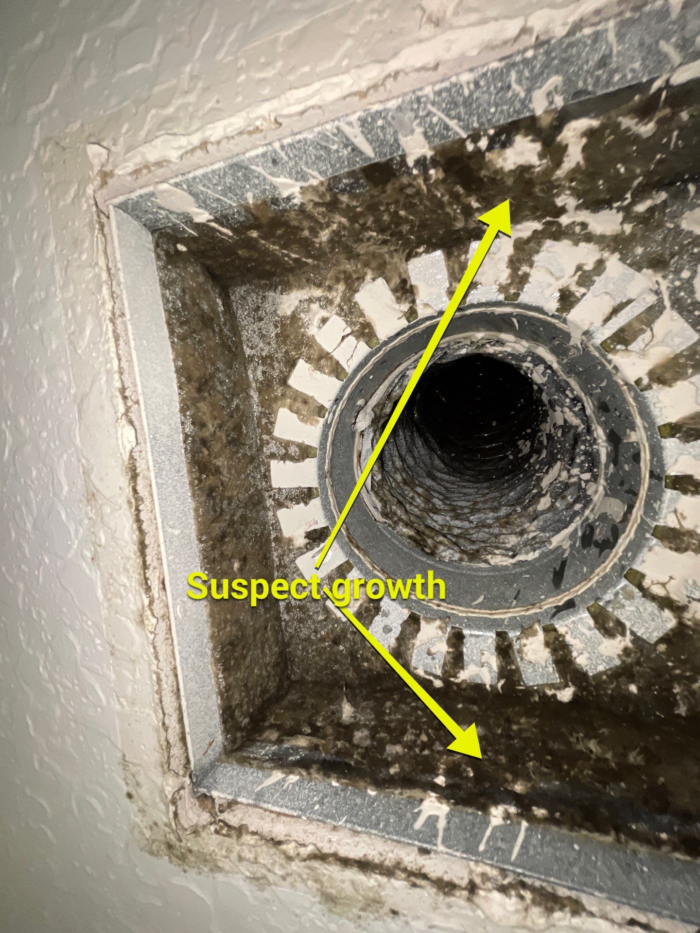 Air Duct Cleaning in Leesburg by Hygienic Air, Inc