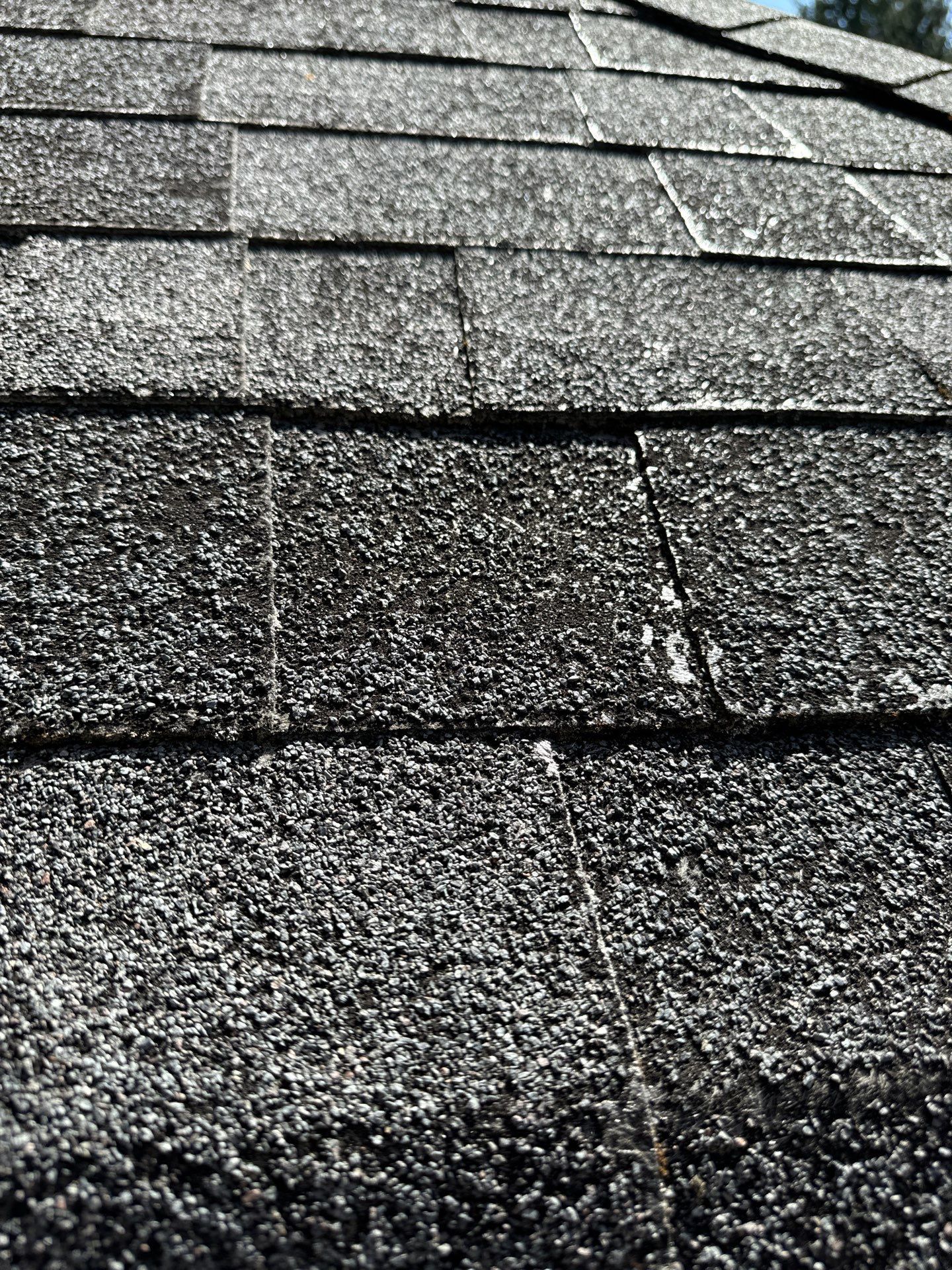 Project in Seattle by Peaks and Valleys Construction
