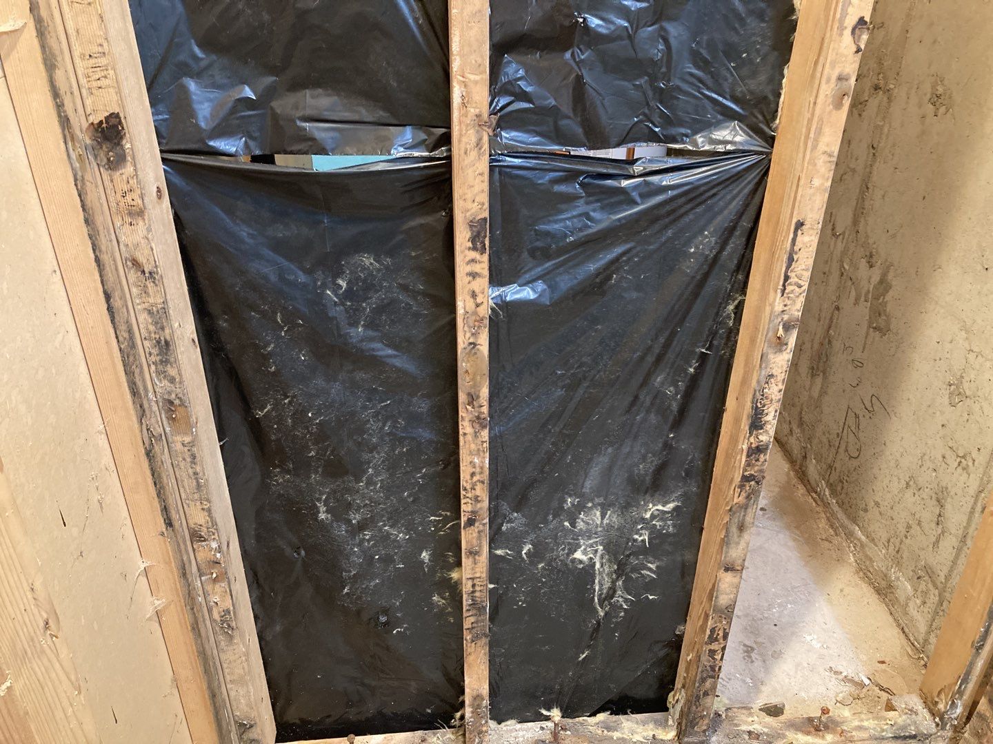 Mold Remediation by Accountable Home Services