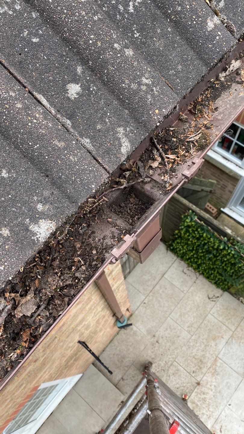 Roof - Driveway - Patio using Honda 15lpm Low Pressure Washing Machine by Ges Exterior Cleaning ltd