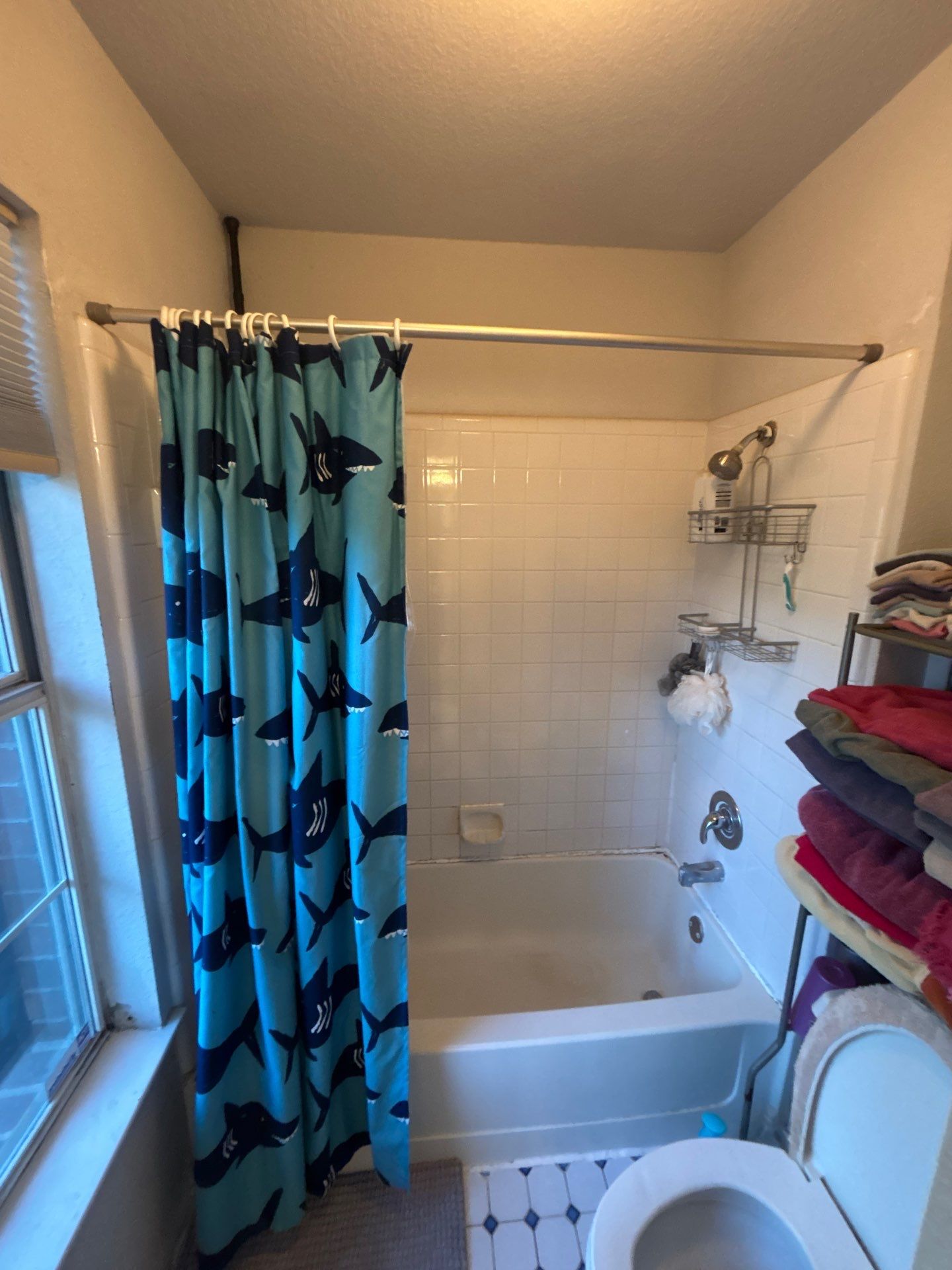Tub to Walk in Shower and new Flooring in Austin, 78732 by Lane Lauritsen - The Hill Country, Texas