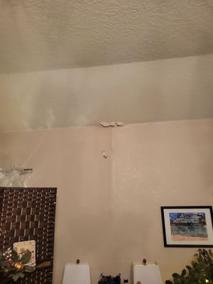 Residential Roof Sheathing Replacement and Interior Wall Repair in San Antonio