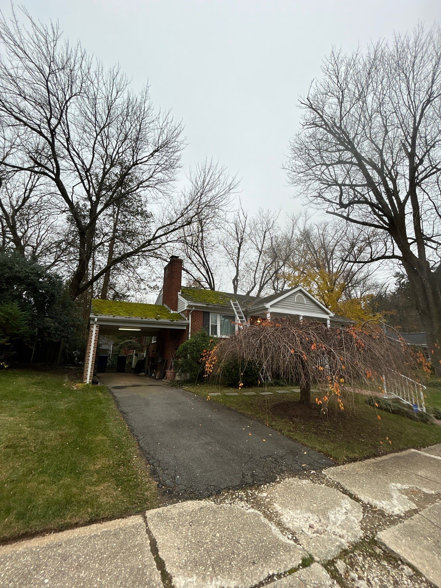Arlington :Residential Roof Replacement with CertainTeed Landmark Pro in Max Def Red Oak  by RM Banning, Inc.