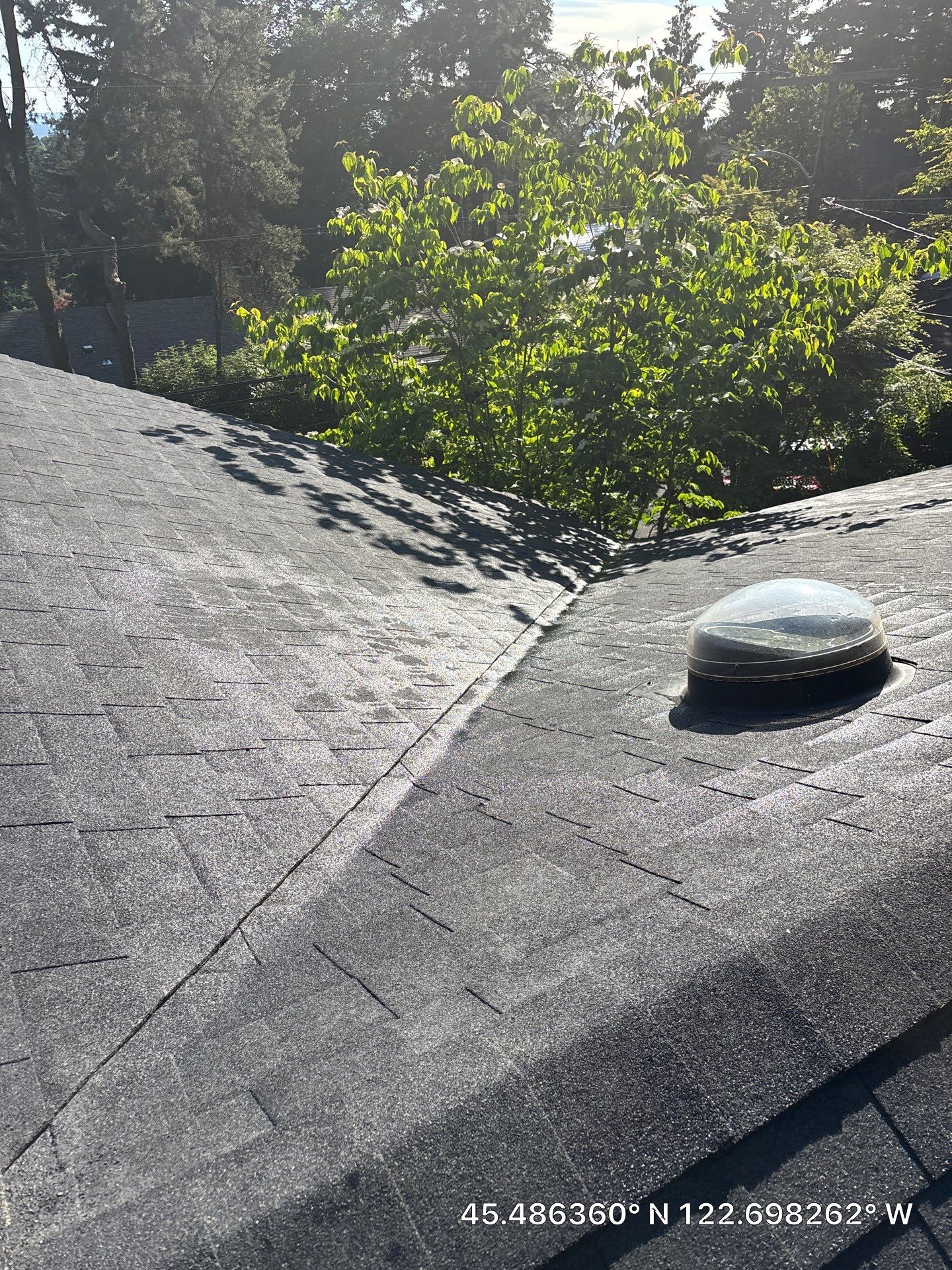 Project in Portland by Tom Leach Roofing