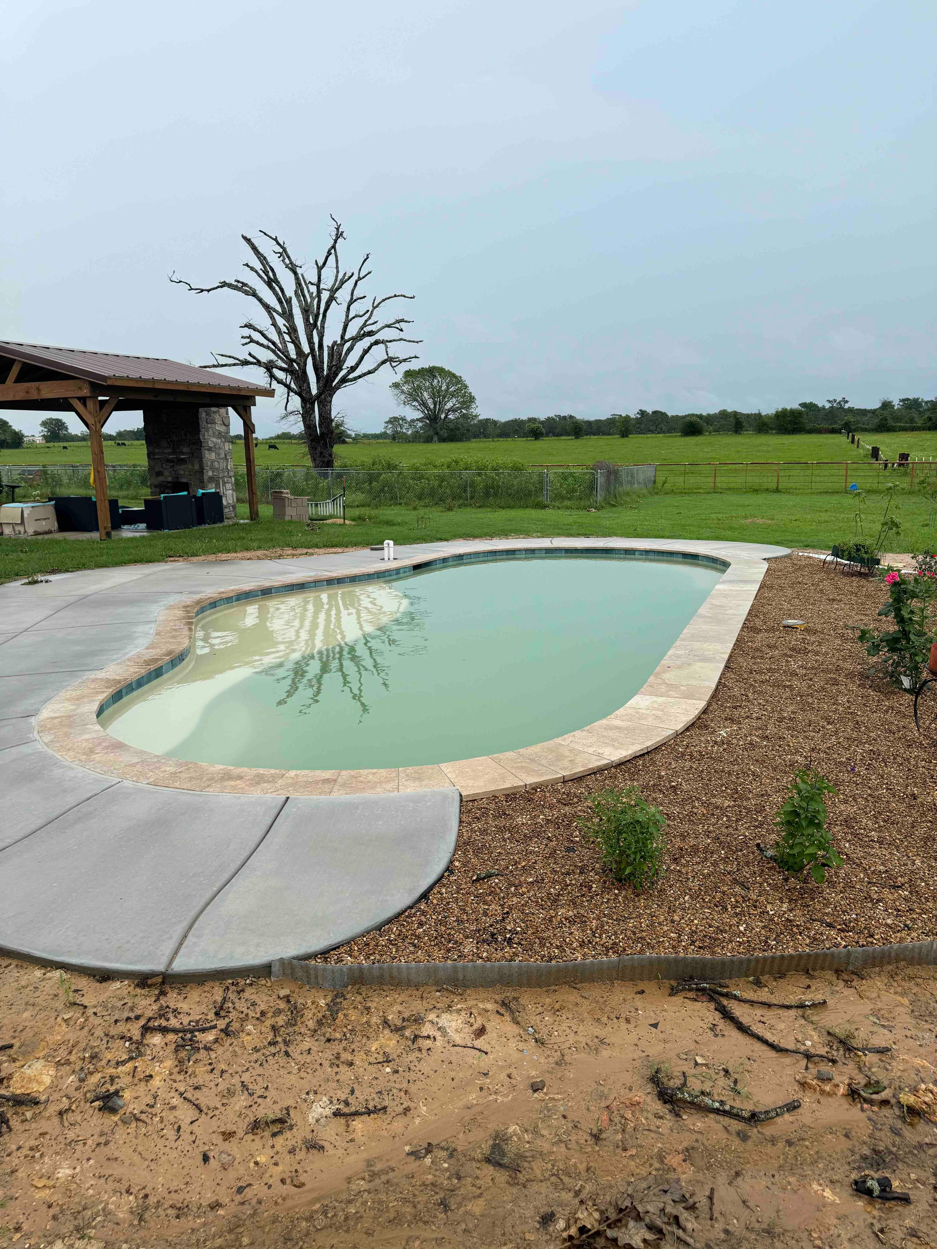 Freeform Pool with Sun Ledge on Rural Lot by Pinnacle Pools and Spas - DFW