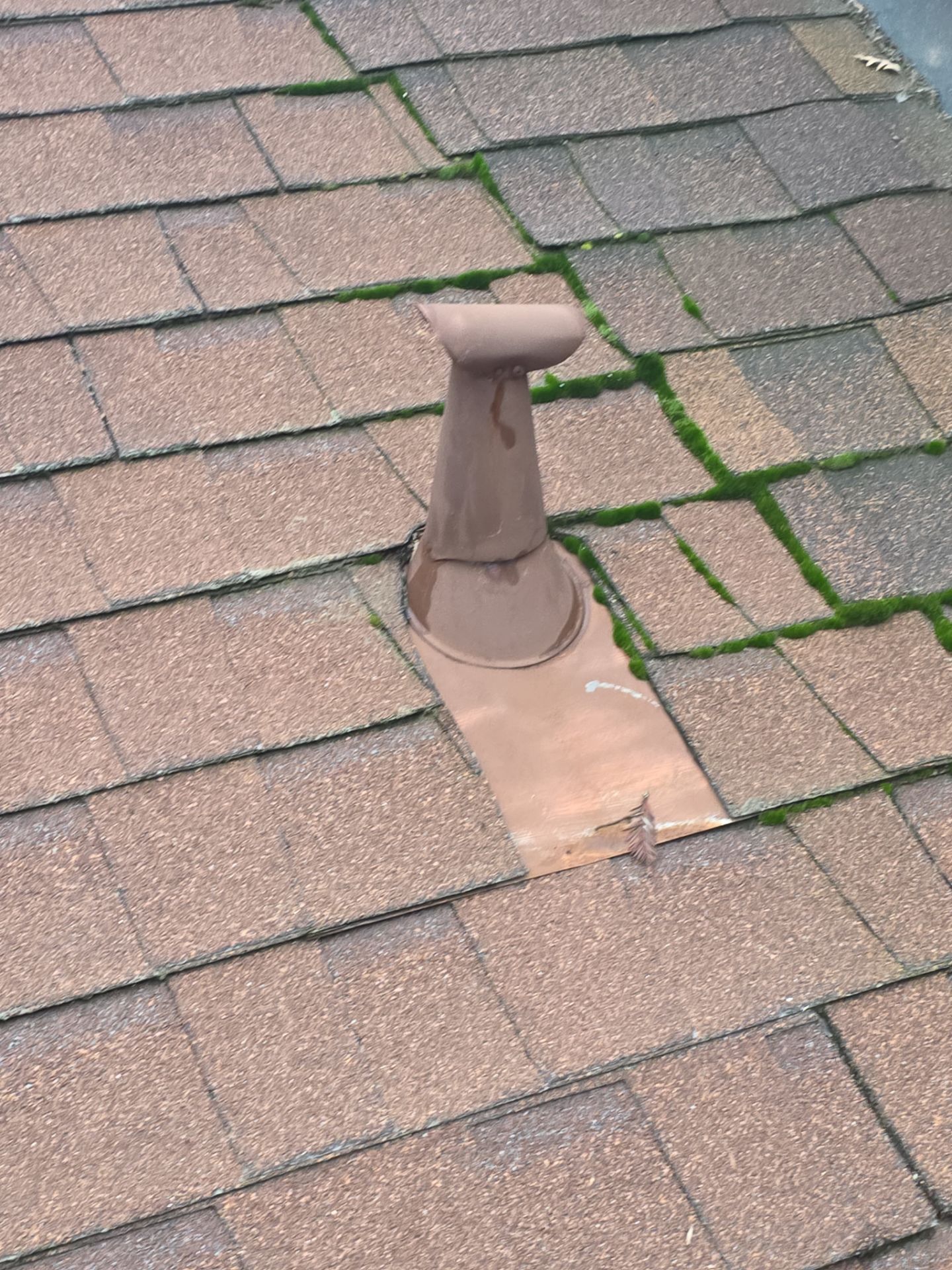 Roof Rejuvenation using Roof Maxx Treatment by Roof Maxx of Folsom