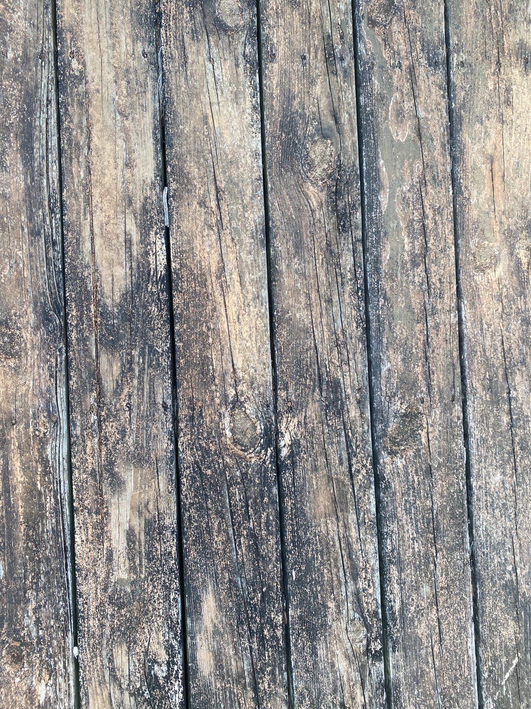 Dock using Wood Sealant by DuraSeal