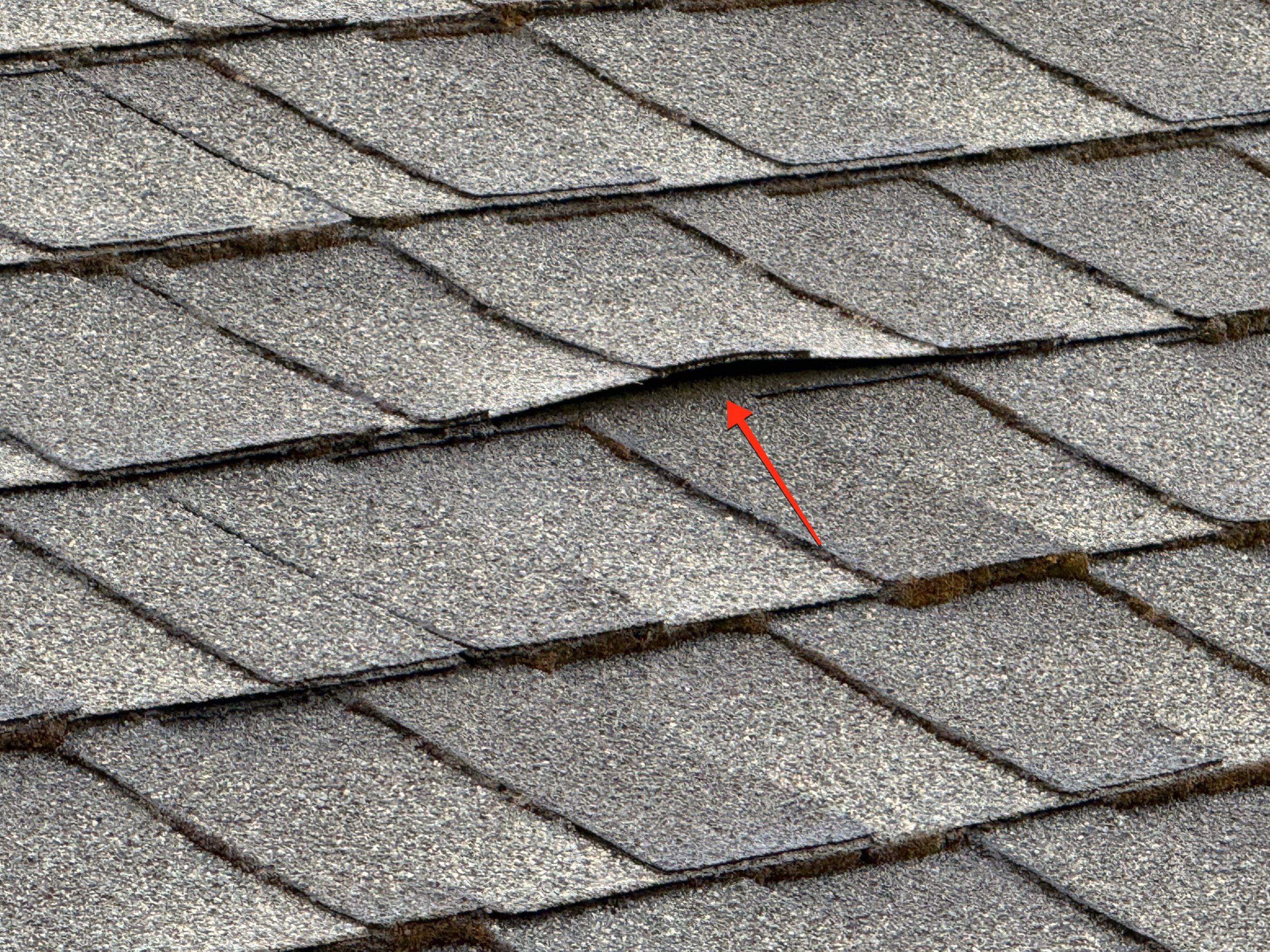 Roof Health Report • Eugene, OR by BEST Roofing & Waterproofing