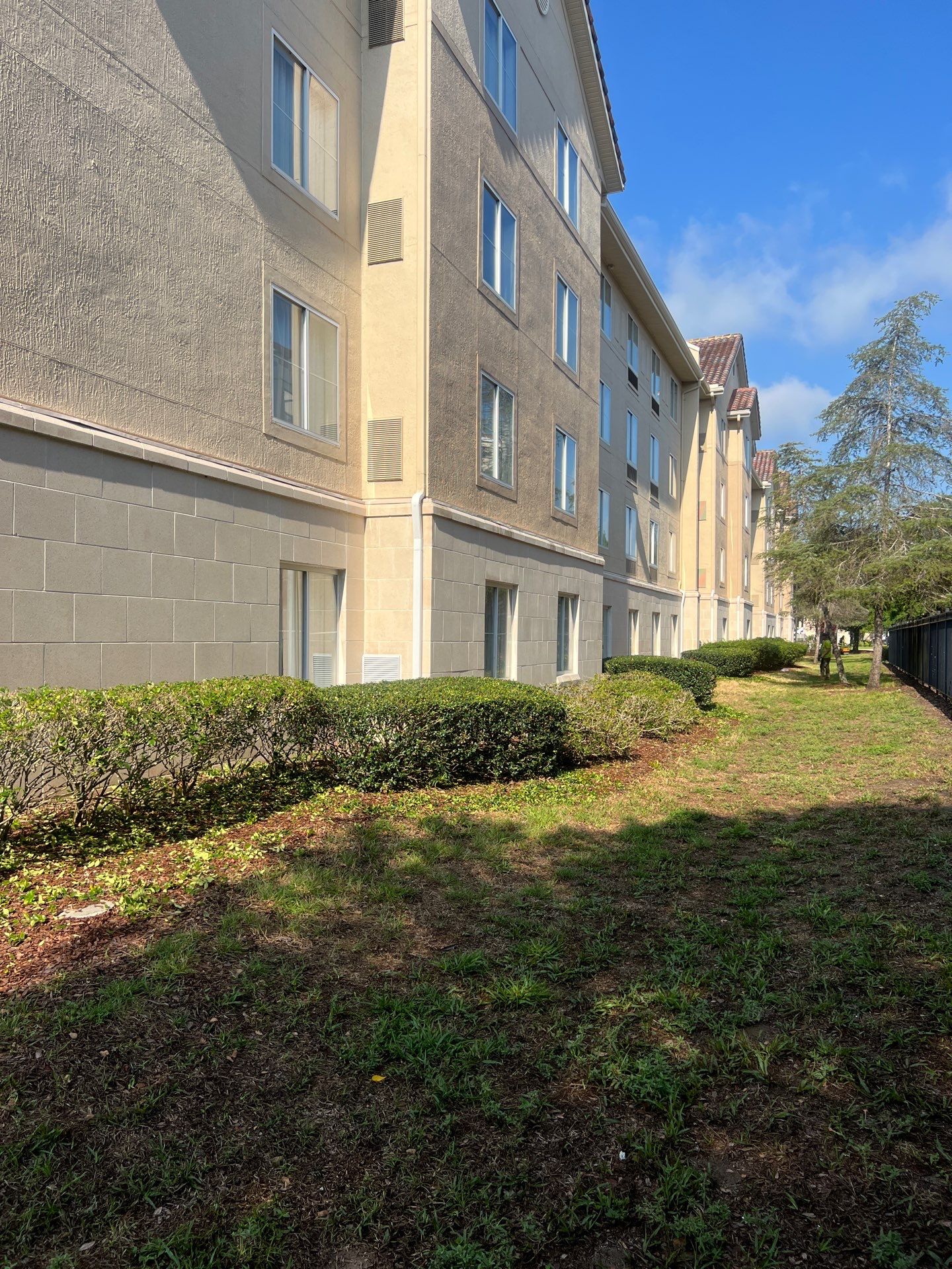 Homewood Suites | Tree Service by ProGreen Services