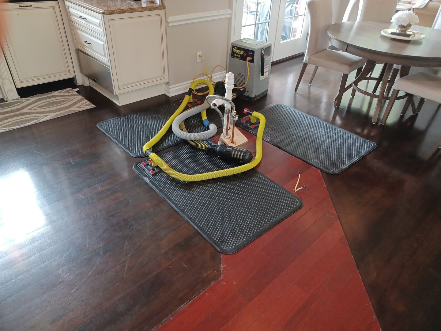 Project in Commerce Twp by EzDry Water Mitigation & Property Restoration