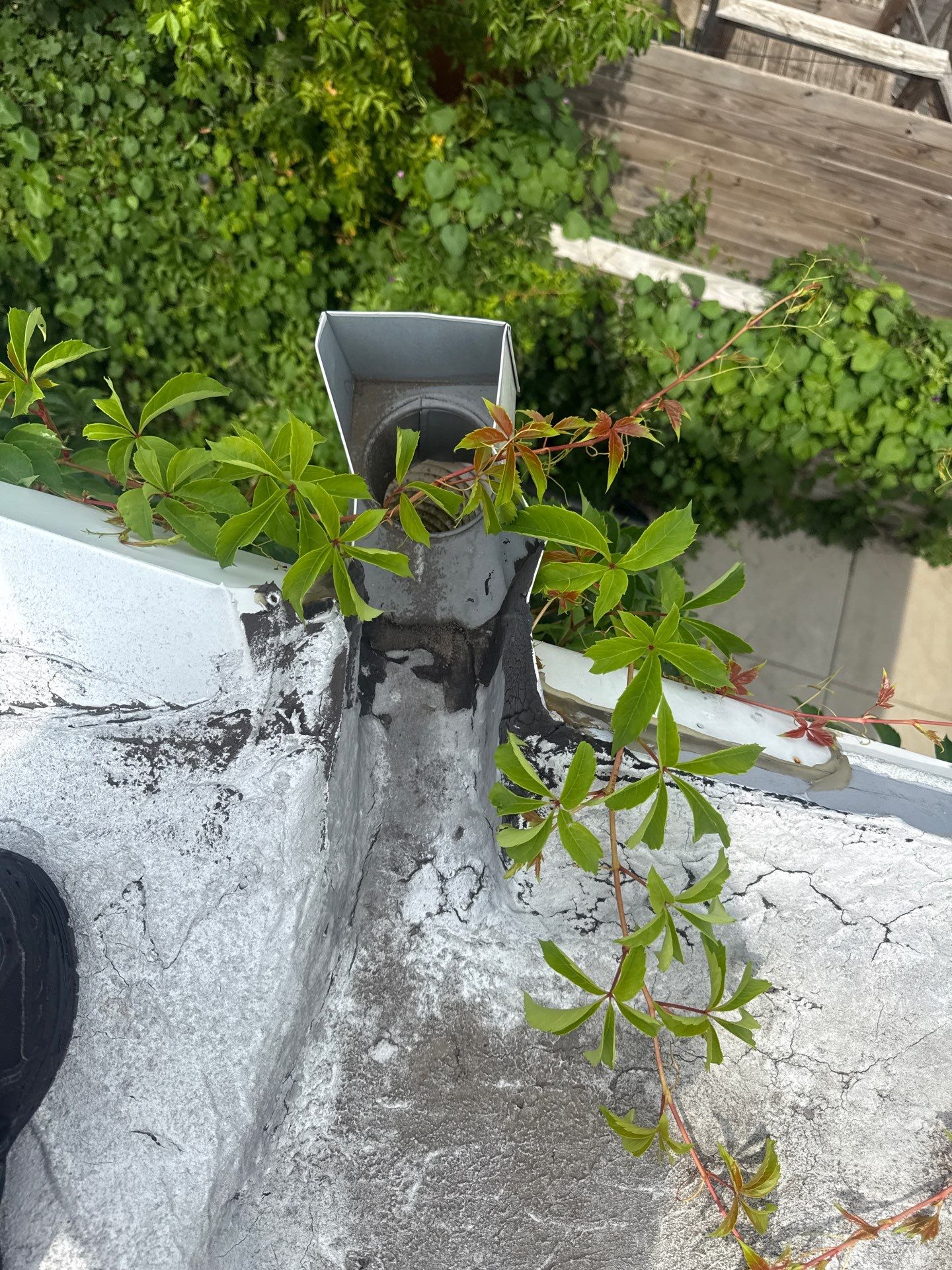 Philly Special by Philadelphia Quality Roofing