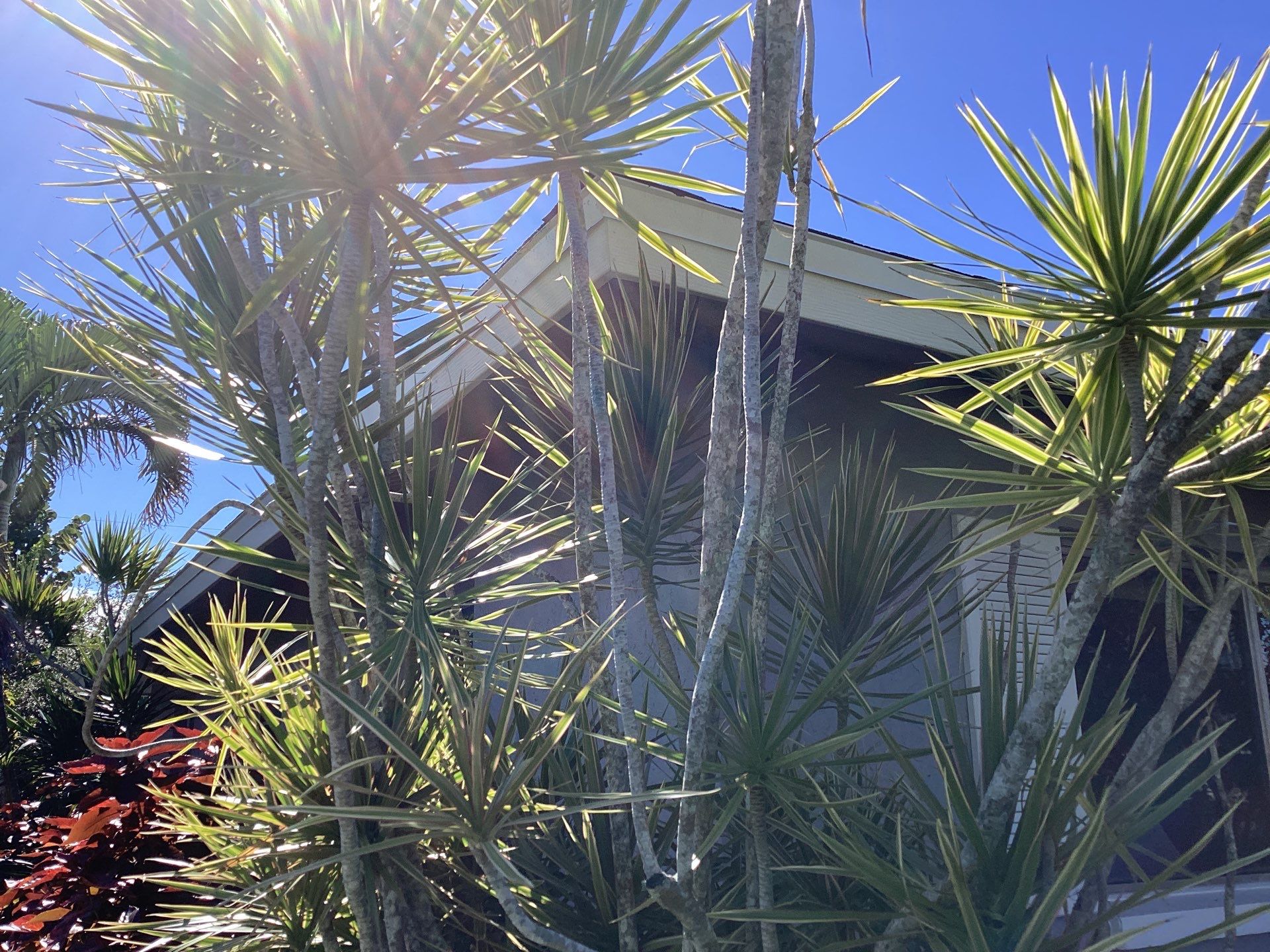 Gutter Repair and Cleaning in Cape Coral FL by Gutter Professors