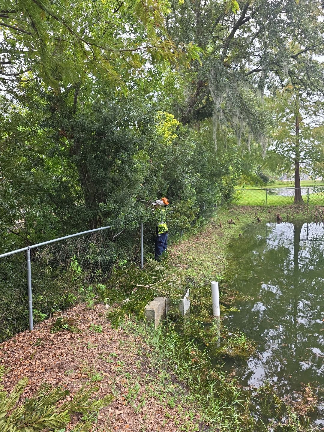 Commercial Property | Tree Removal & Trimming by ProGreen Services