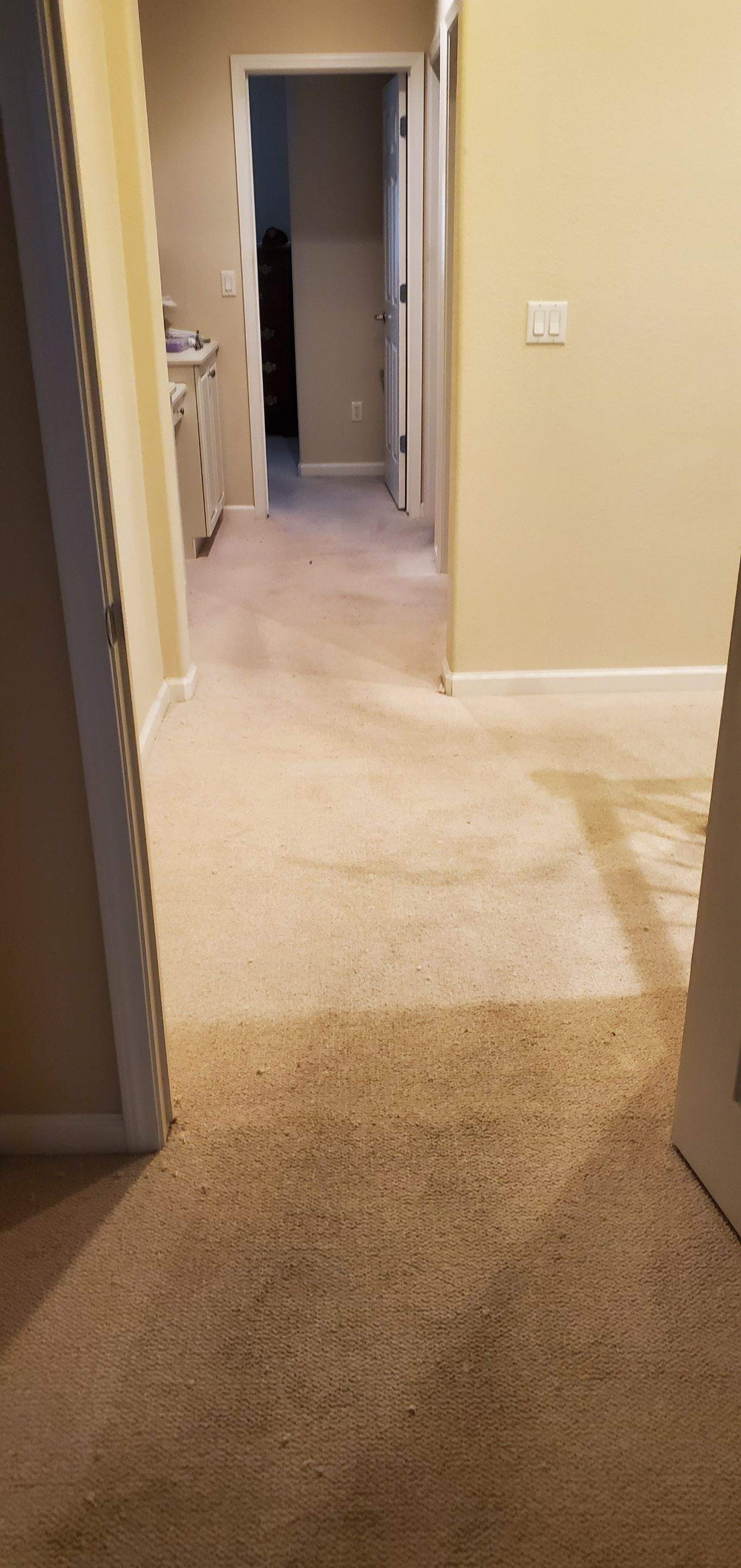 Carpet Re-stretch & Cleaning before House Listing by Ardent Carpet Restore LLC