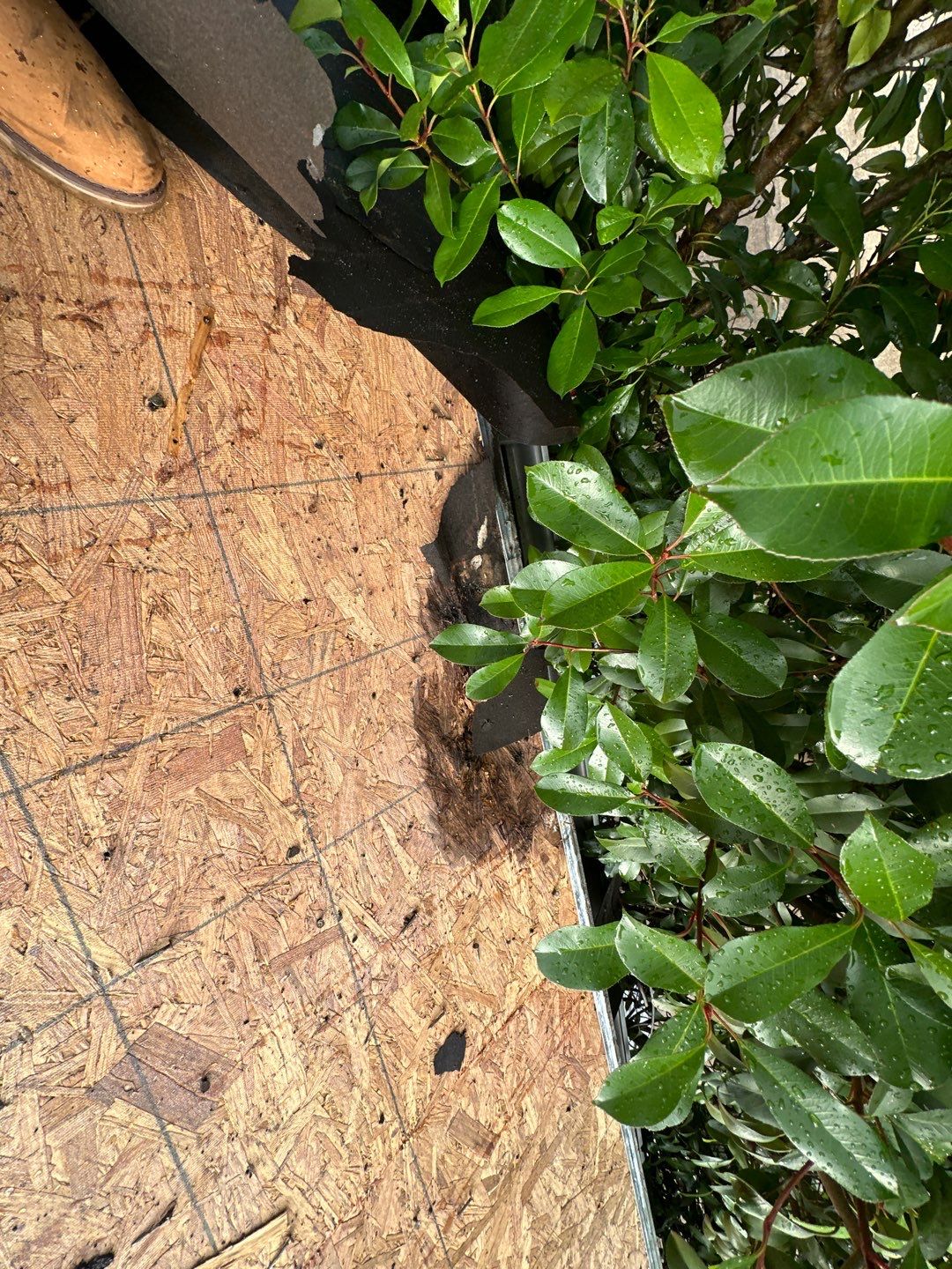 Residential Roofing Installation using Owen's Corning Duration (Lifetime) Shingles by Roof Repair Company