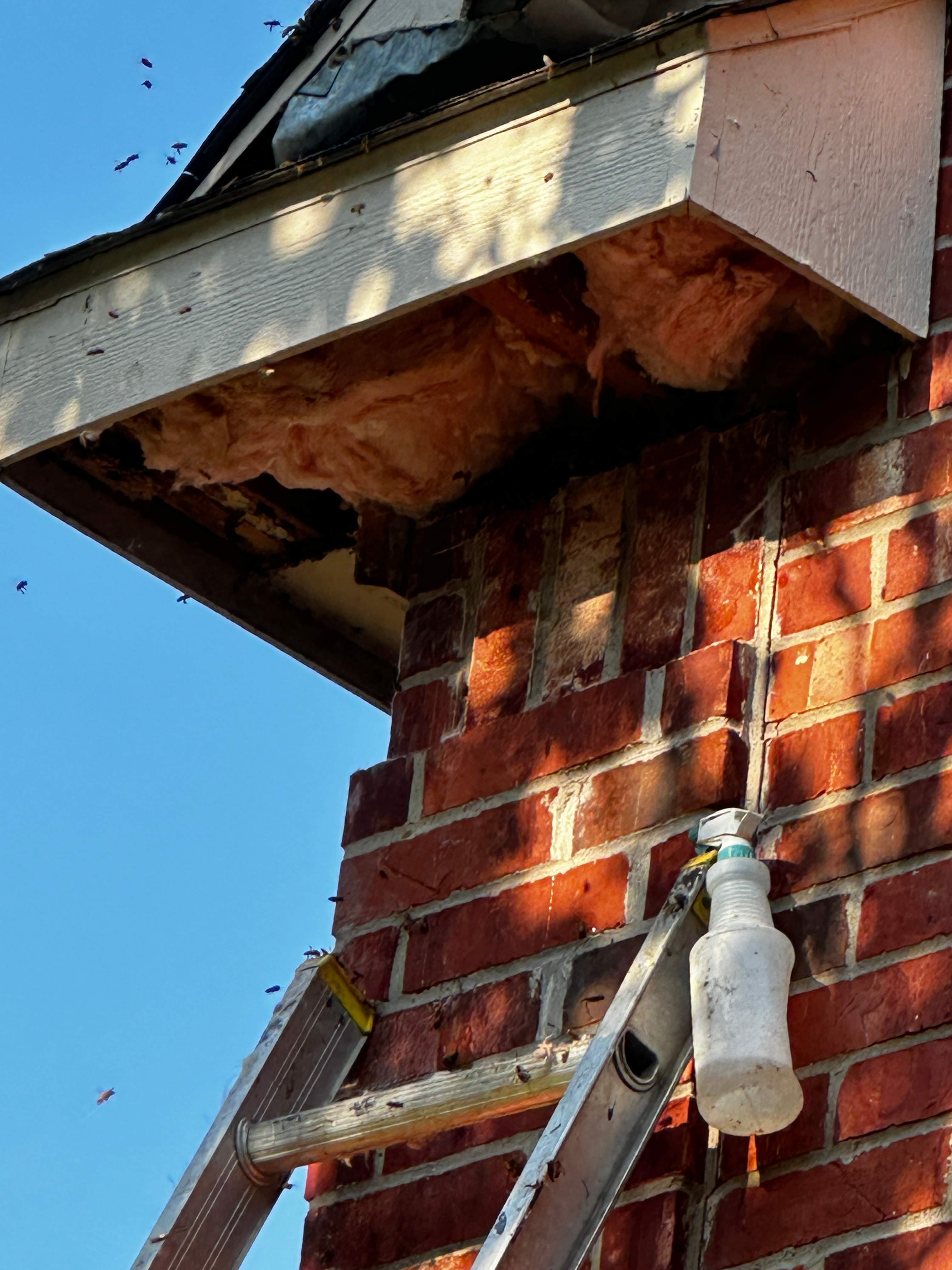 Corner Soffit by Rockwall Honey Bee Company