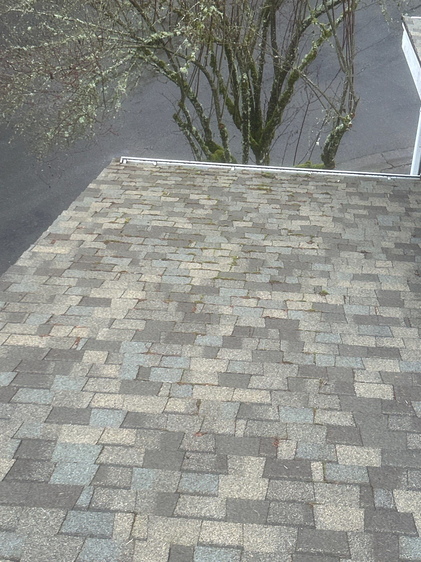 Project in Bothell by Connolly Construction Company