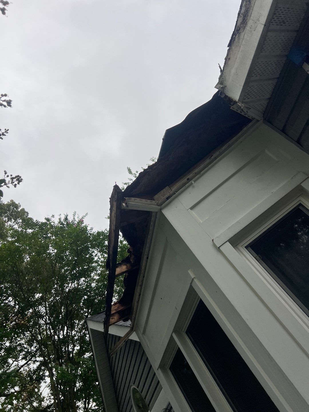 Alexandria: Residential Flat Roof Replacement with MuleHide TPO by RM Banning, Inc.