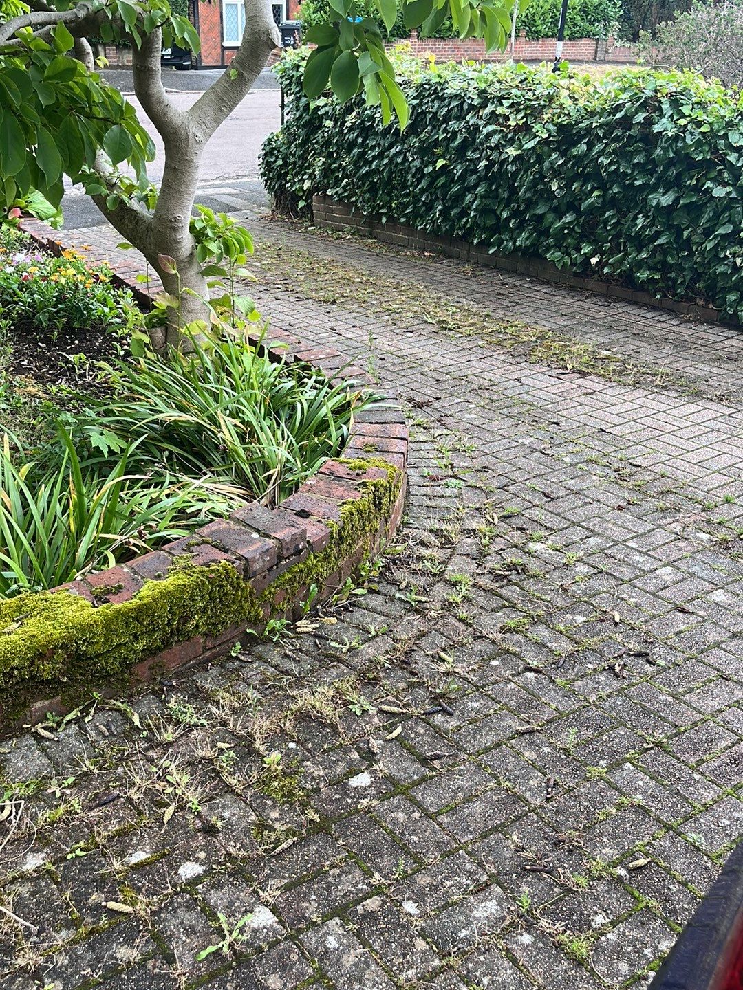 Driveway Clean using honda 21 ltr/min by Ges Exterior Cleaning ltd