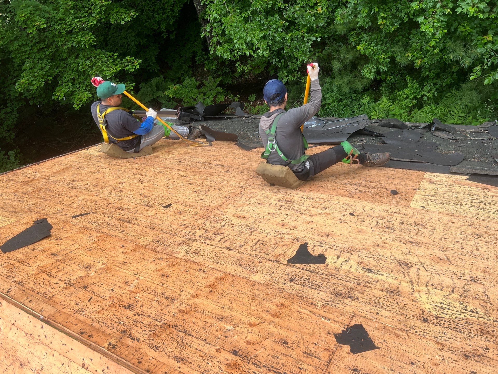 Milton, NH Owens Corning Roof Install by Tall pine roofing
