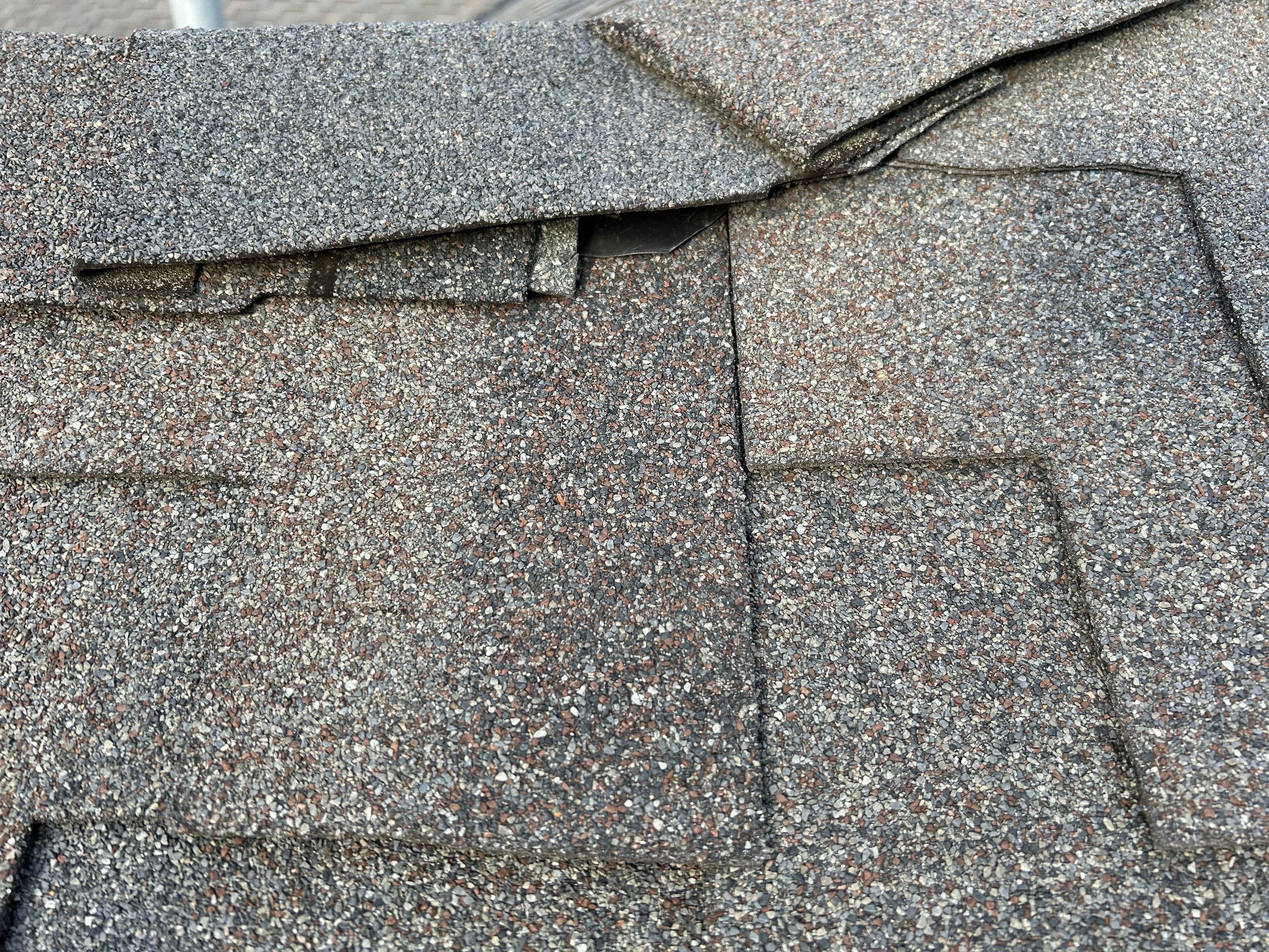 Roof Maintenance in Beaverton by Prodigy Roof Solutions