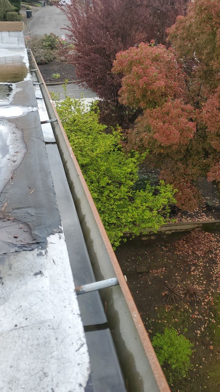 Gutter Cleaning using Moderate Pressure by Willamette Outdoor Wash LLC