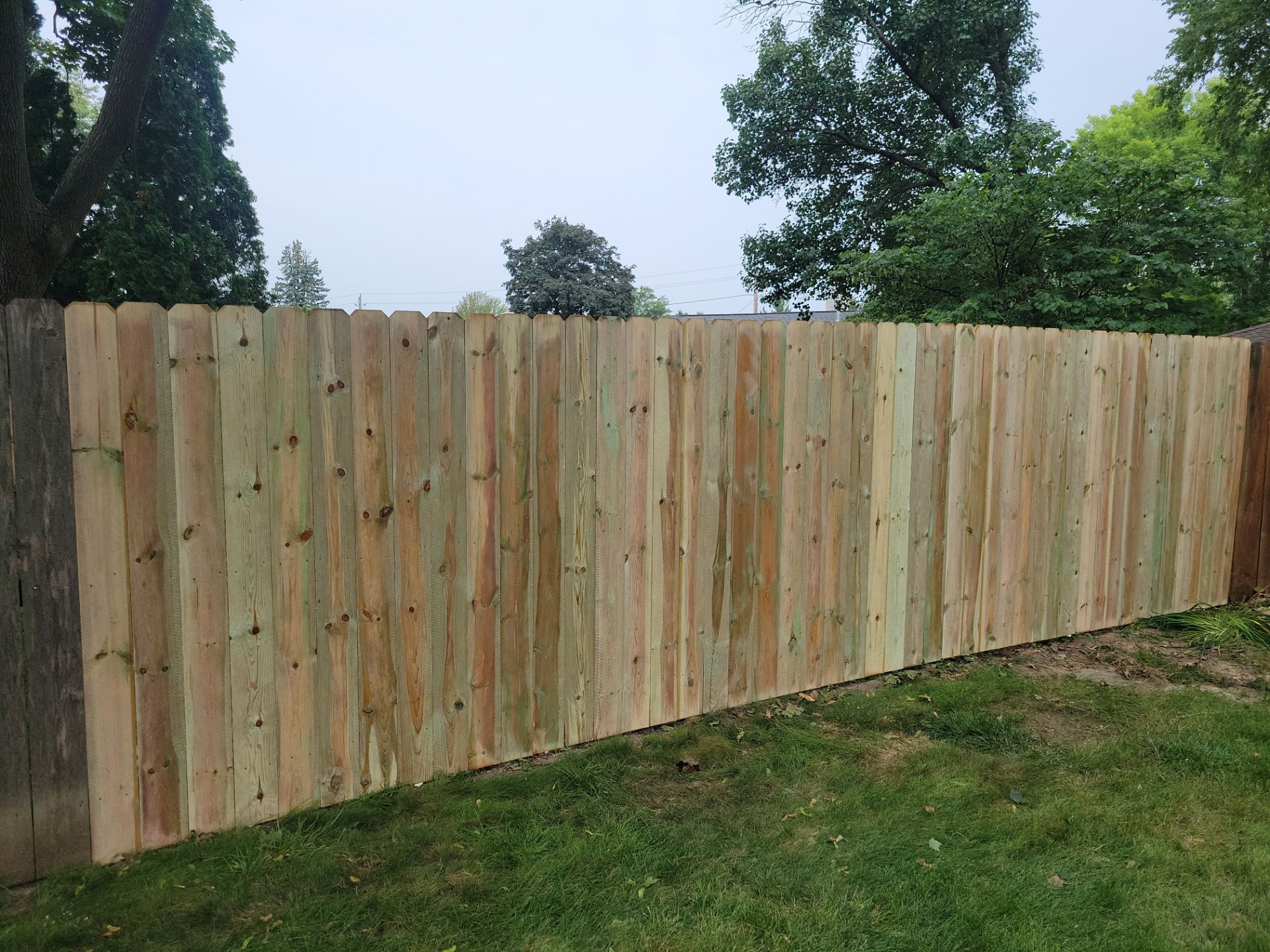 Pressure-Treated Wood Privacy Fence Replacement in Waterloo by Perfect Picket Fence and Stain