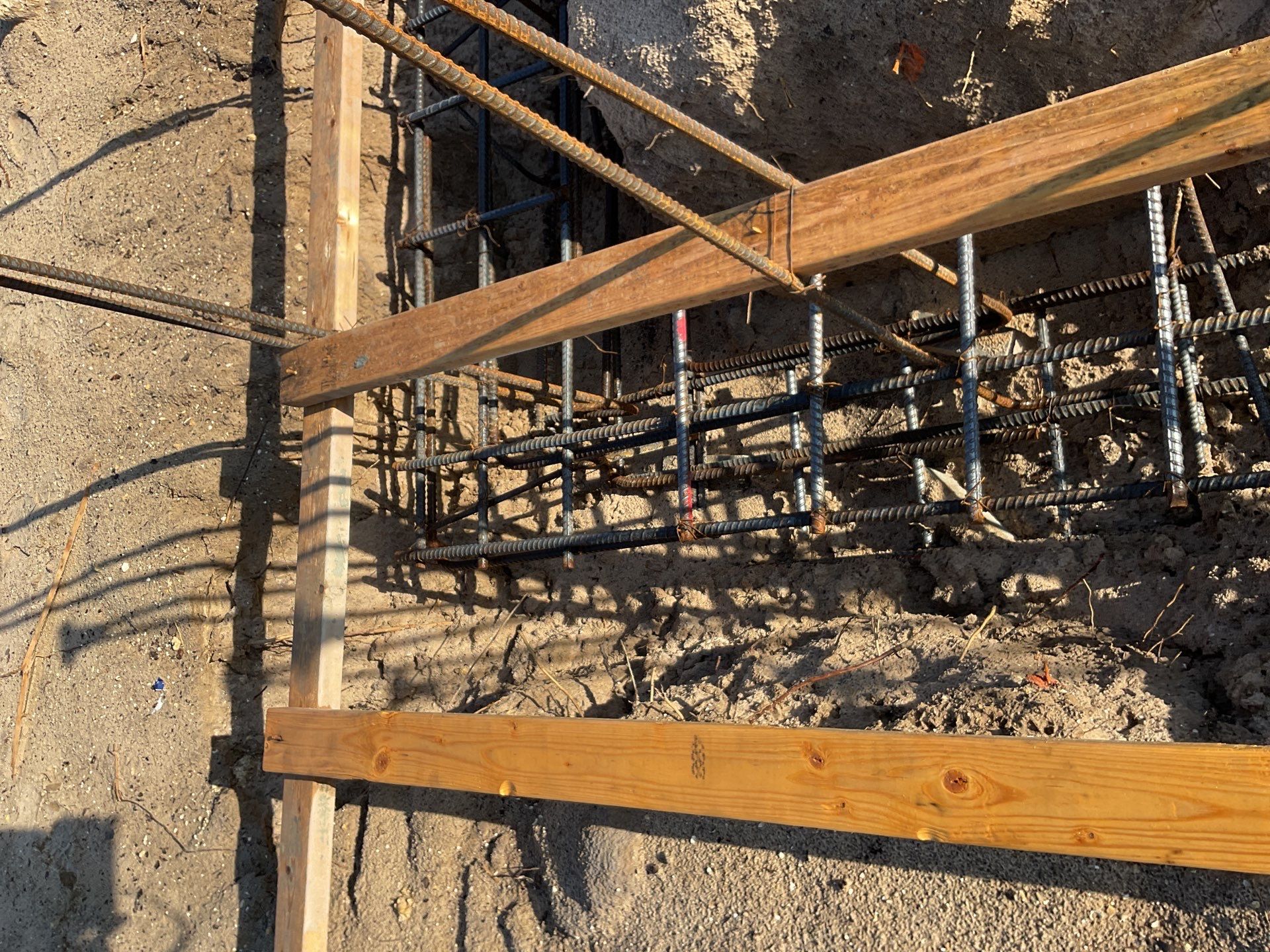 TRACTOR SUPPLY NAPLES by Southern Gulf Construction
