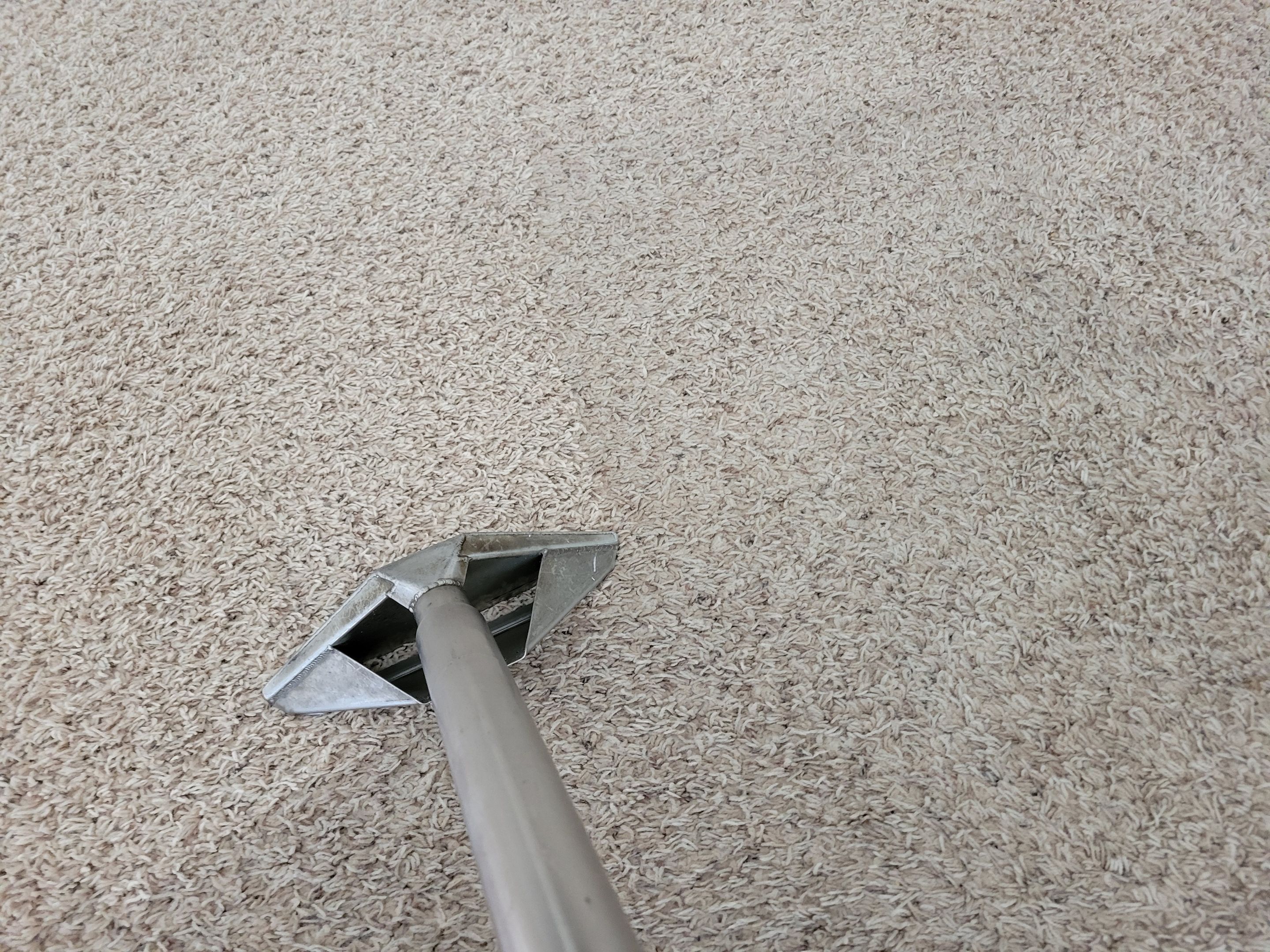 Black Staining, Carpet Cleaning by Ardent Carpet Restore LLC