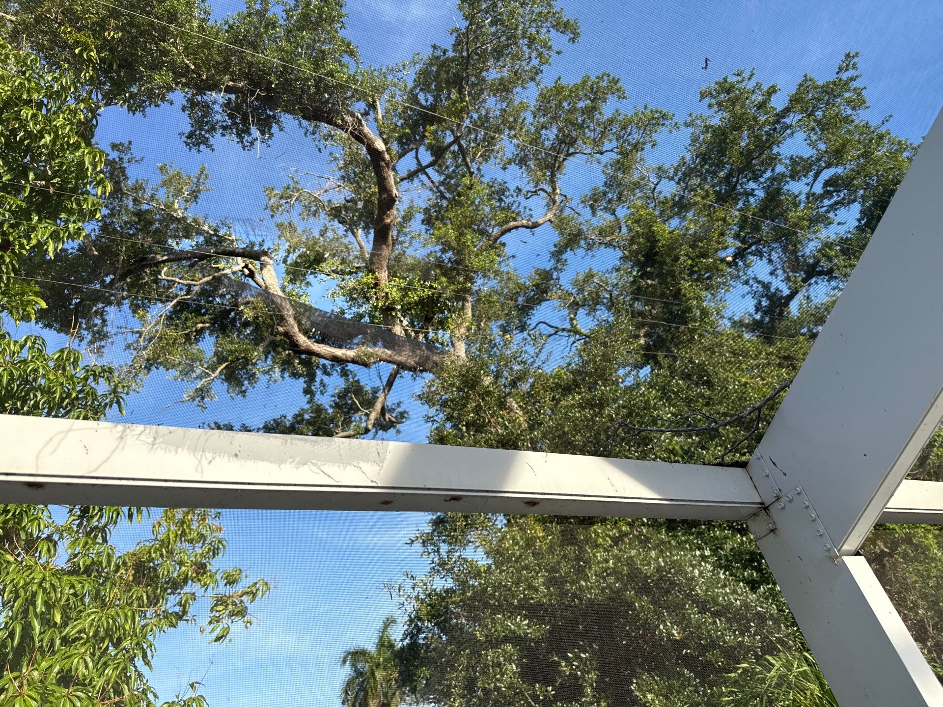 Painted Pool Deck & Pool Cage Cleaning in Allendale – Bradenton, FL by Sunshine AquaWash