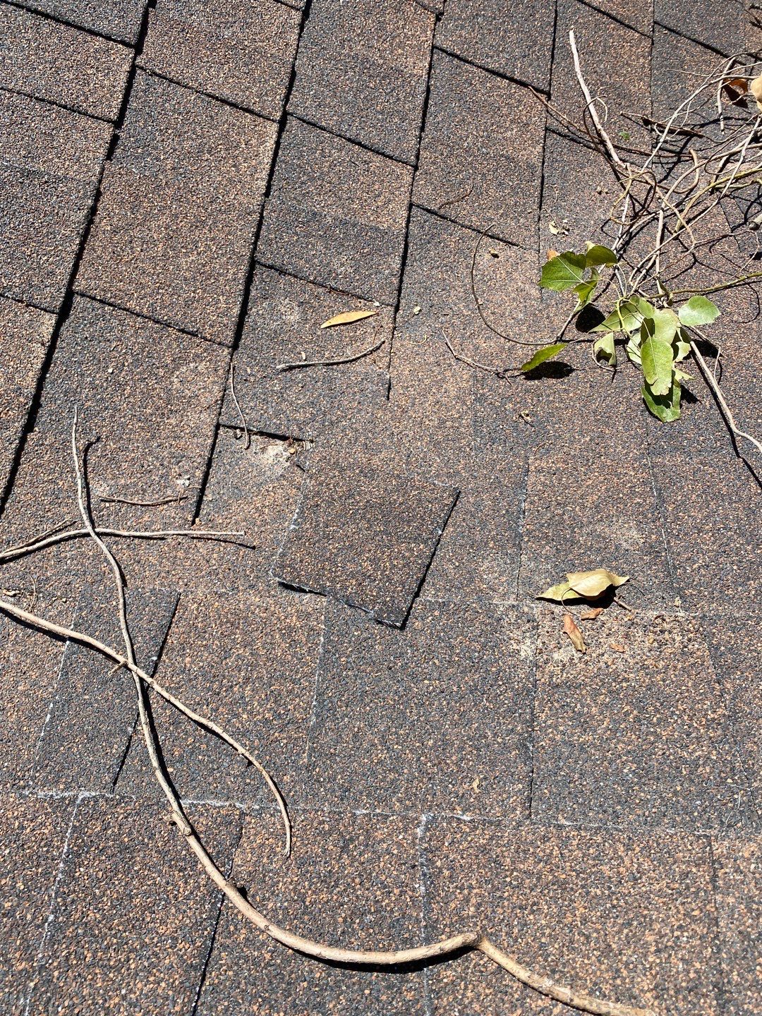 Sylvia's Full Re-roof by All Storm Roofing & Construction