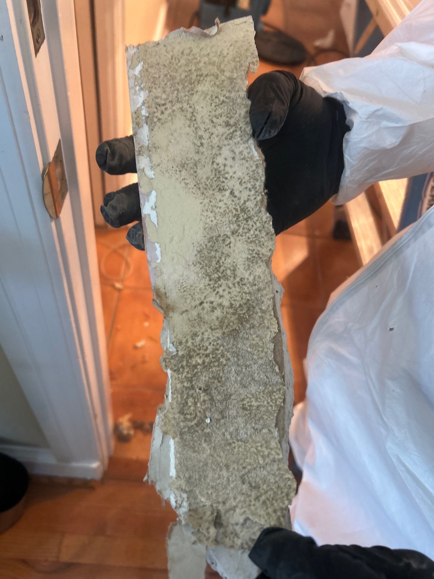 Water Damage Restoration & Repair In Anna Maria, FL by Ampm Restoration Services