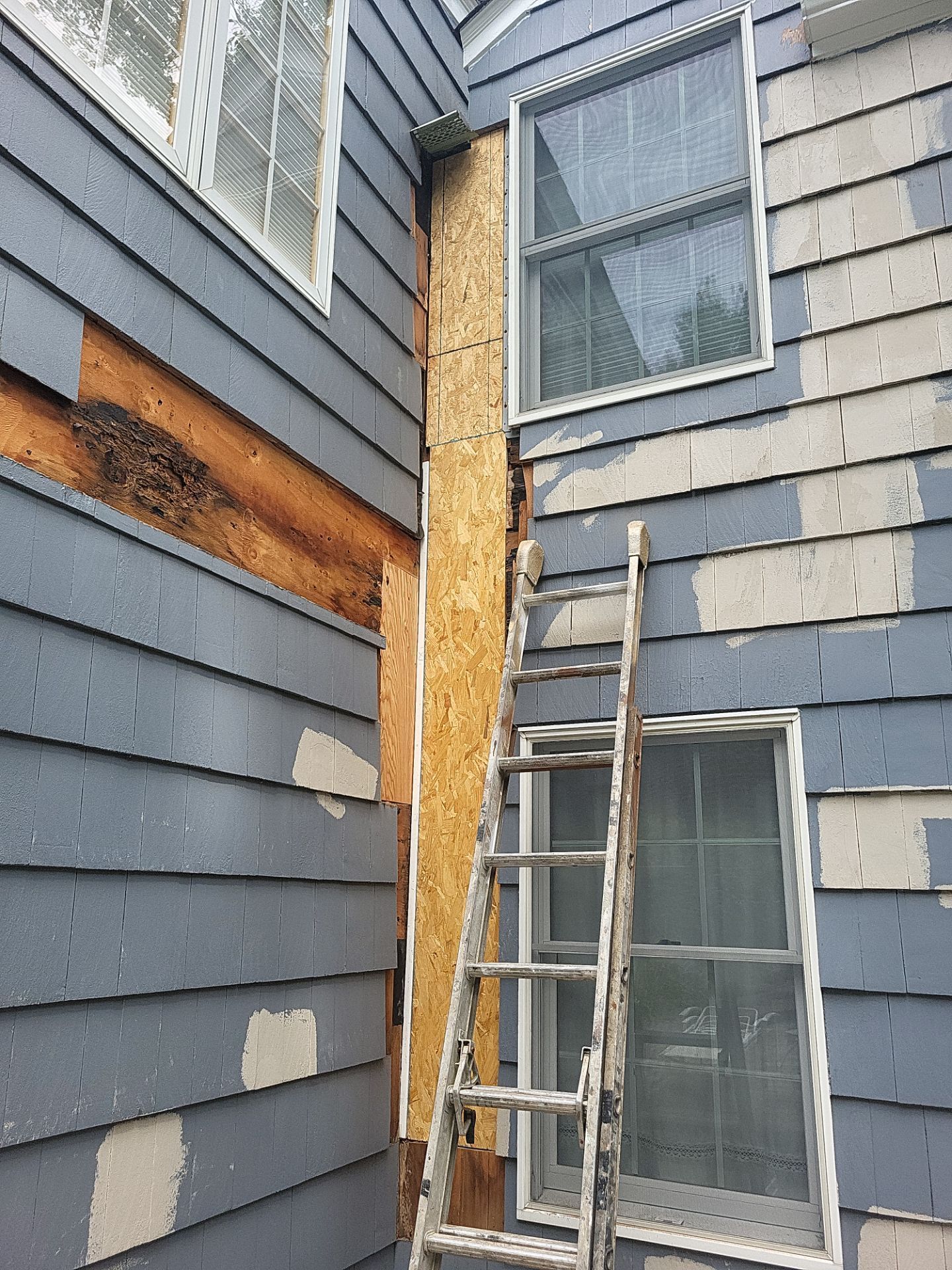 Exterior Painting and Cedar Shingle Siding Repair in Cedar Grove by Spectrum Painting, LLC