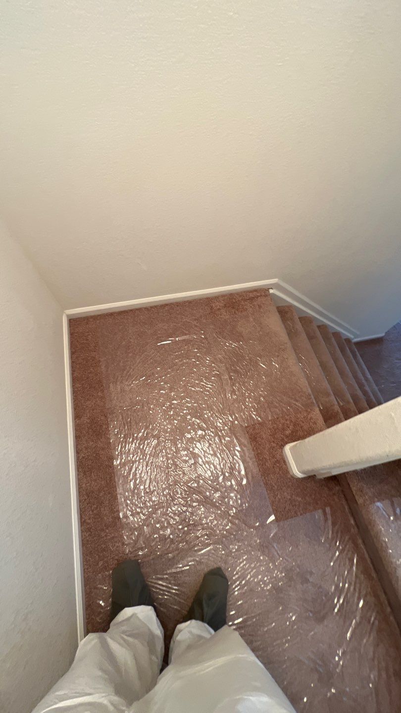 Mold Damage by Accountable Home Services