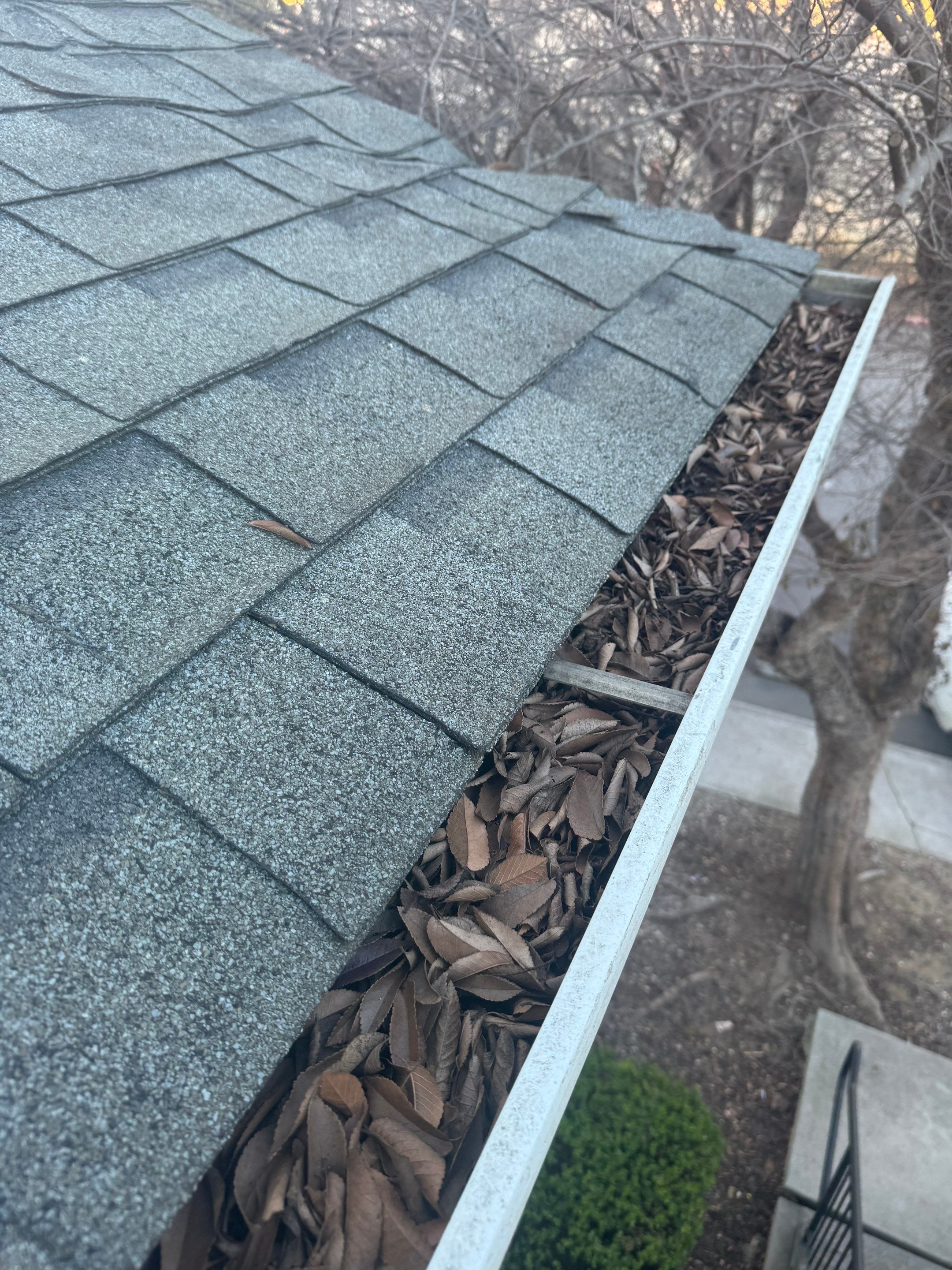Commercial gutter cleaning Georgia before photo with filled gutters
